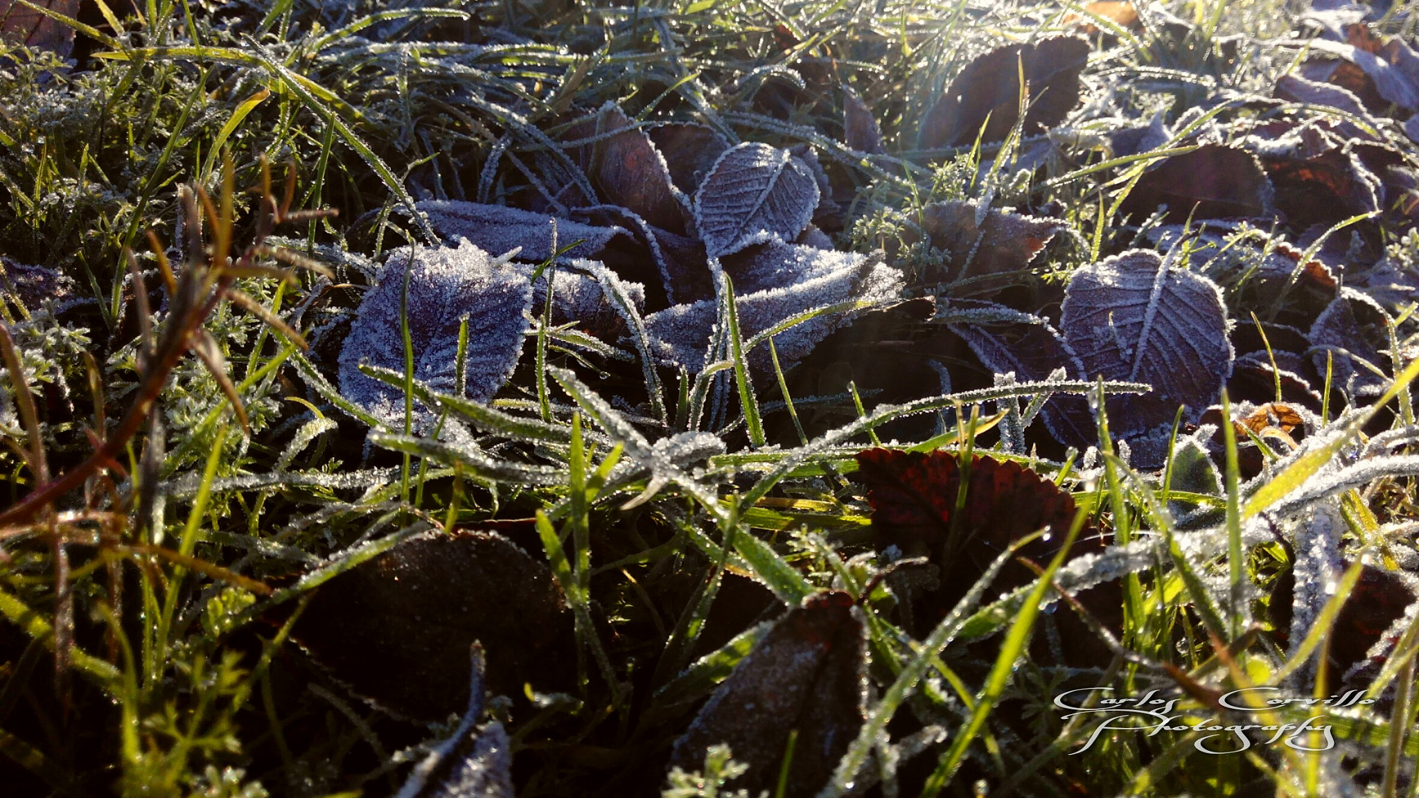 bq Aquaris E5 HD sample photo. Frost photography