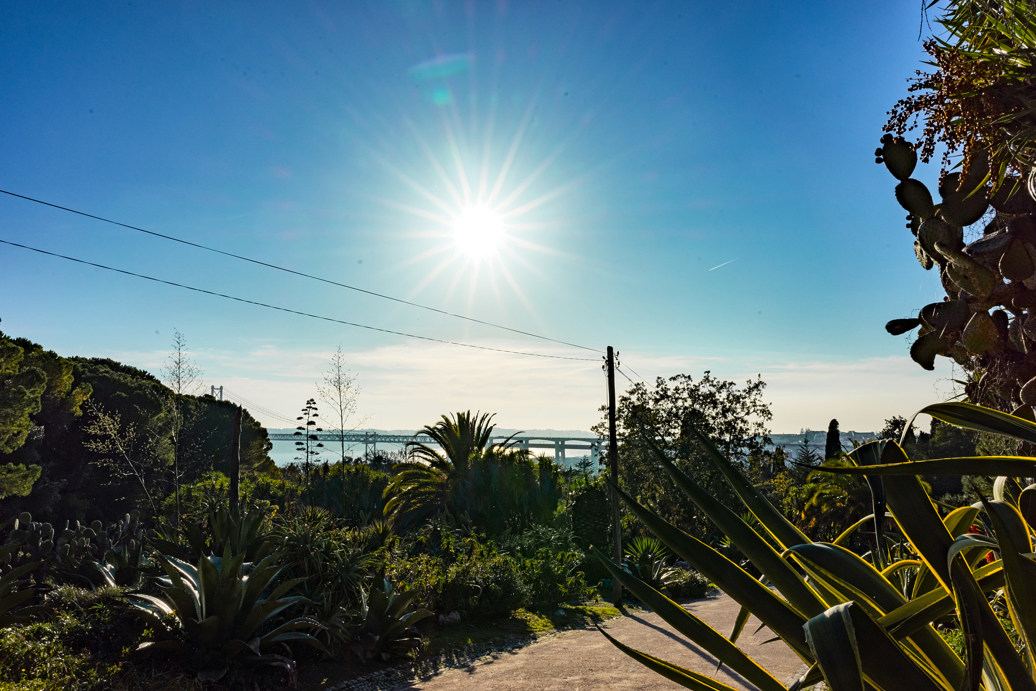 Sony a7R + Sony FE 28mm F2 sample photo. Green and blue photography