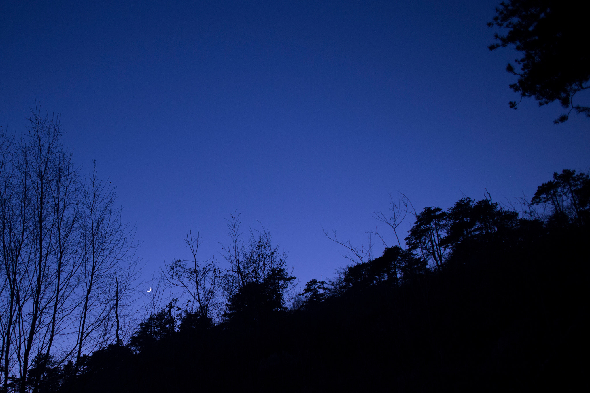Canon EF 24mm F2.8 sample photo. Little slice photography