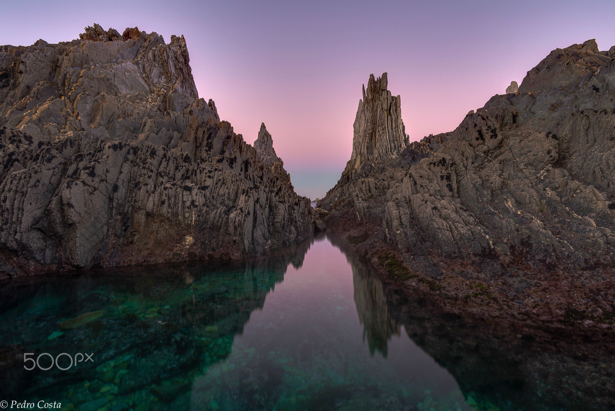 Nikon D610 + Tokina AT-X 17-35mm F4 Pro FX sample photo. Green swimming pool. photography