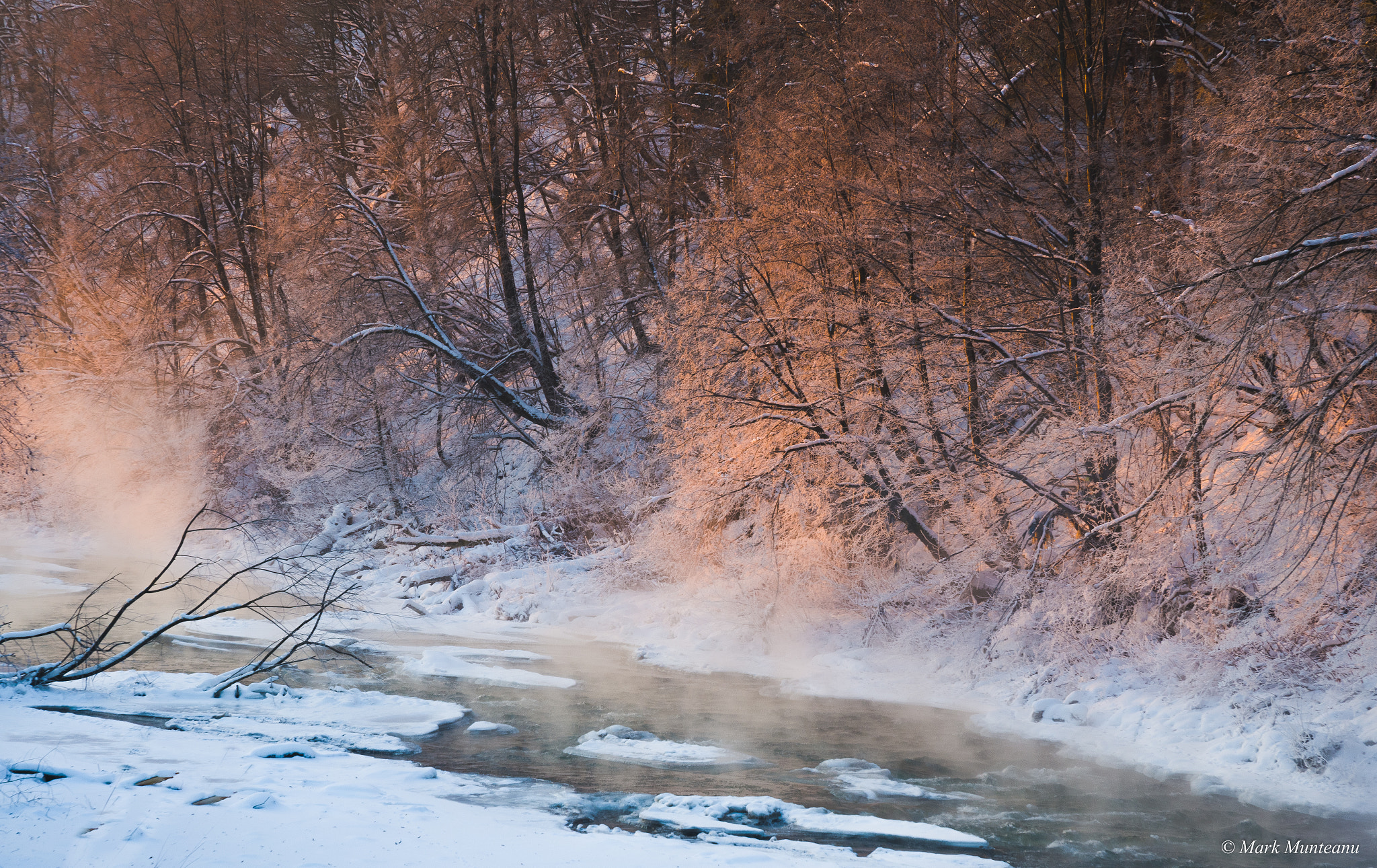 Nikon D500 sample photo. Cold embrace photography