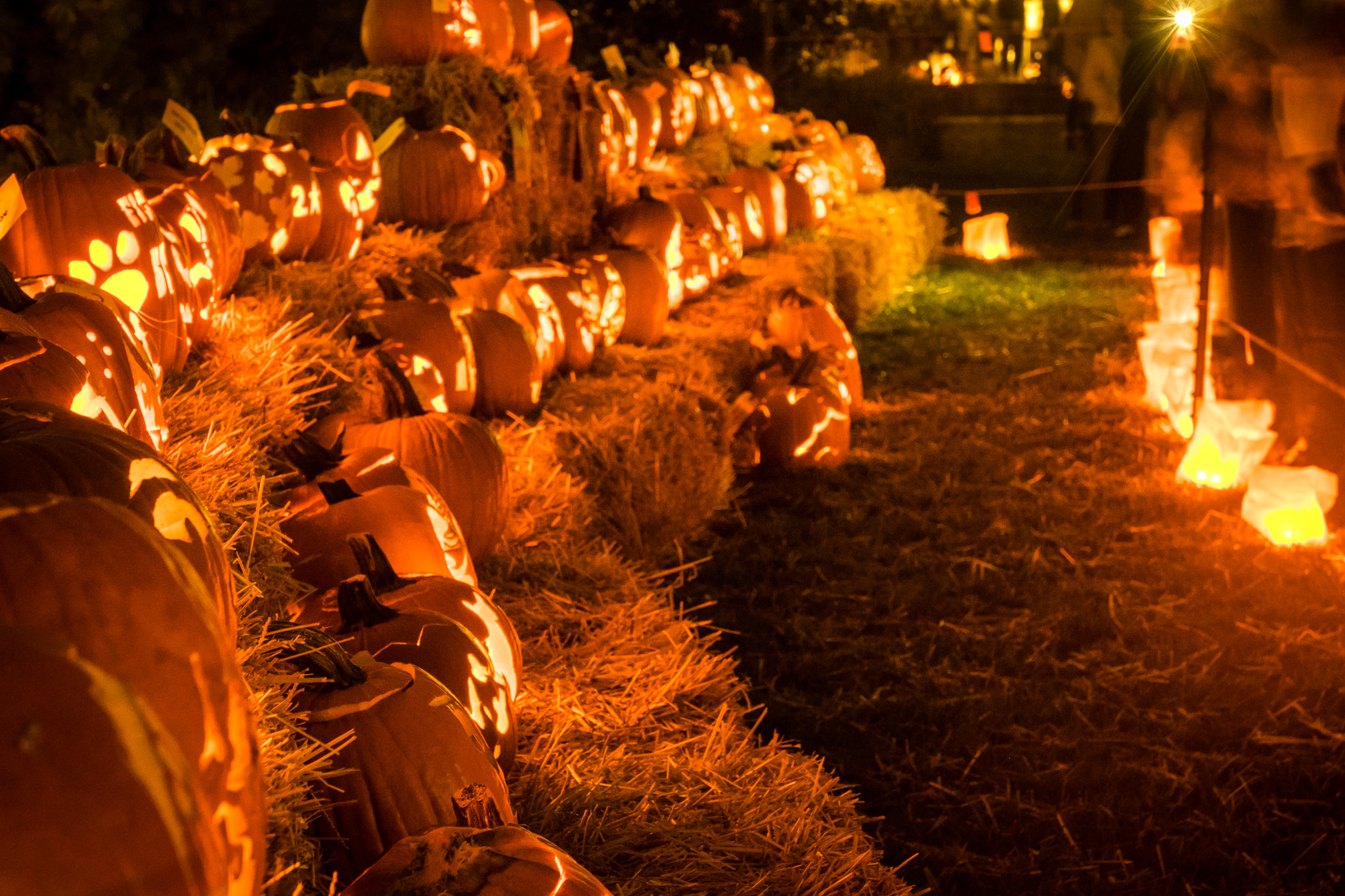 Sony a7 + Sony Vario-Tessar T* E 16-70mm F4 ZA OSS sample photo. Pumpkin festival lantern show photography