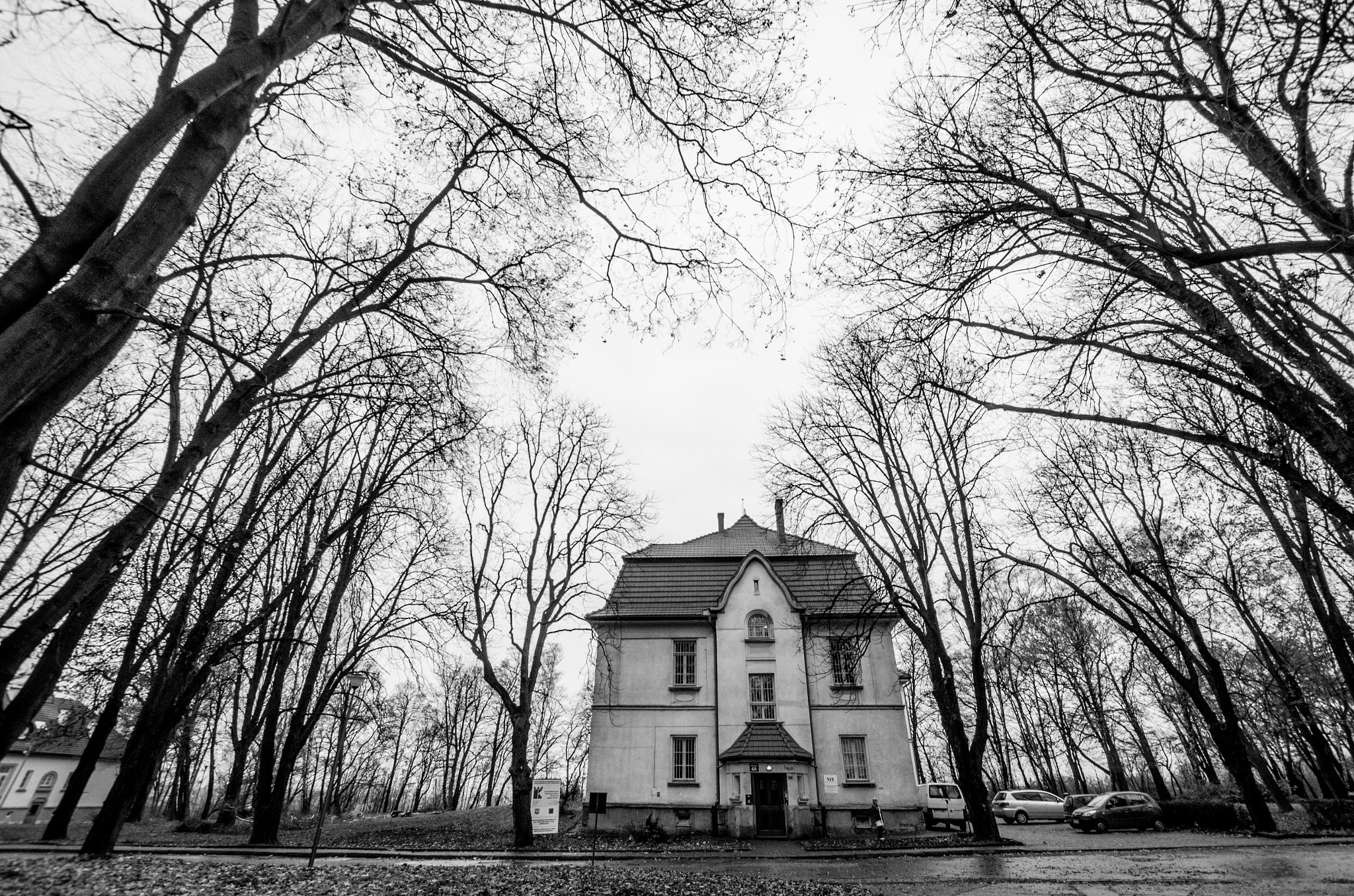 Sigma 70-200mm F2.8 EX DG Macro HSM II sample photo. Mad house photography
