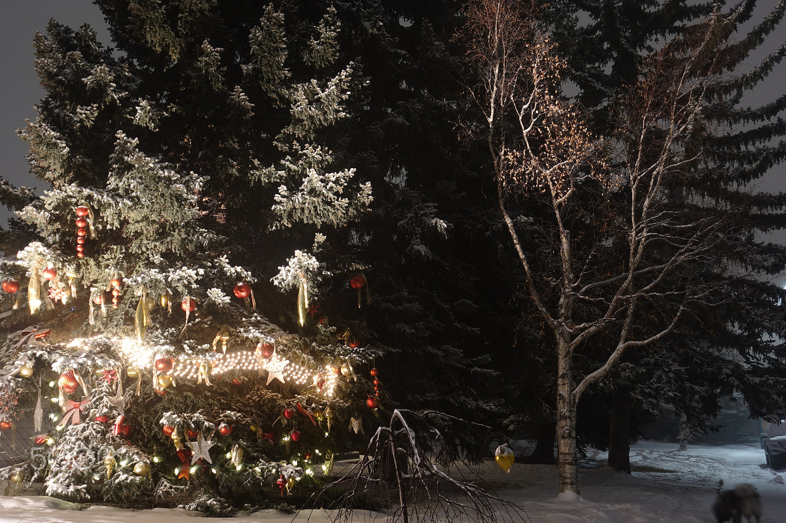 Minolta AF 28-85mm F3.5-4.5 New sample photo. Canadian christmas lights photography