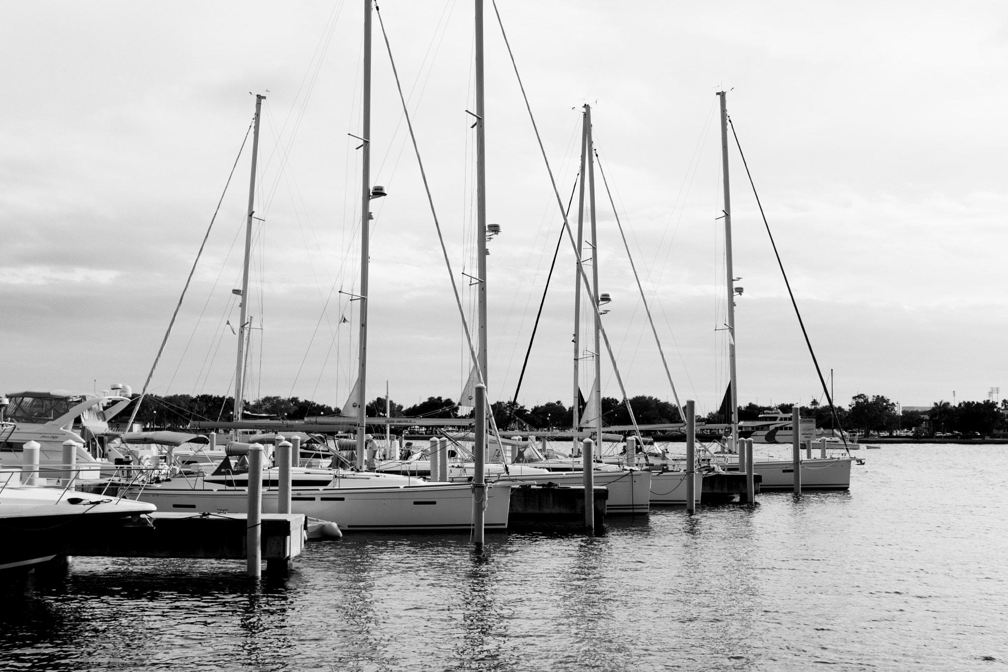 Sony FE 28mm F2 sample photo. The marina photography
