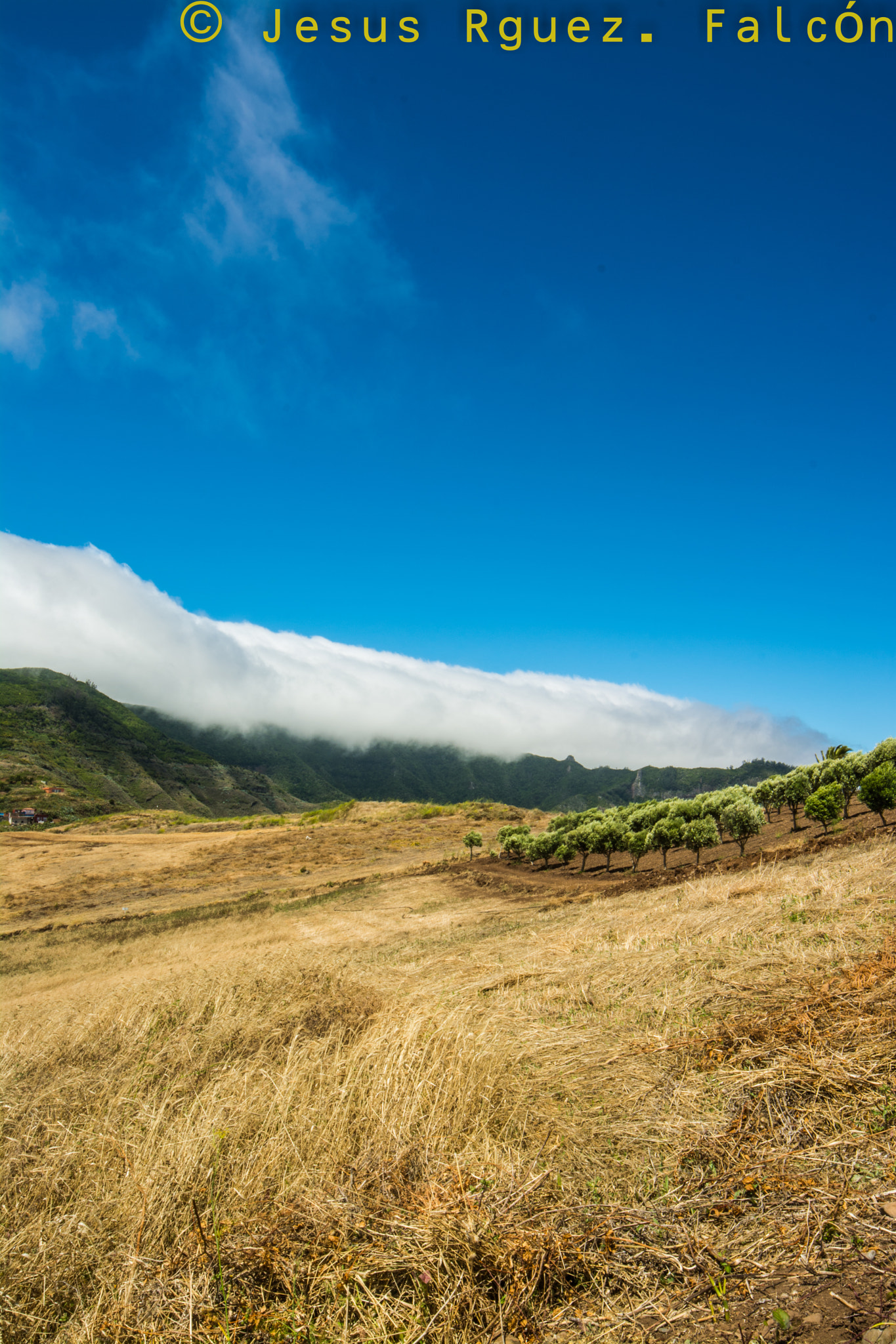 Samyang 14mm F2.8 ED AS IF UMC sample photo. Campos de soledad photography