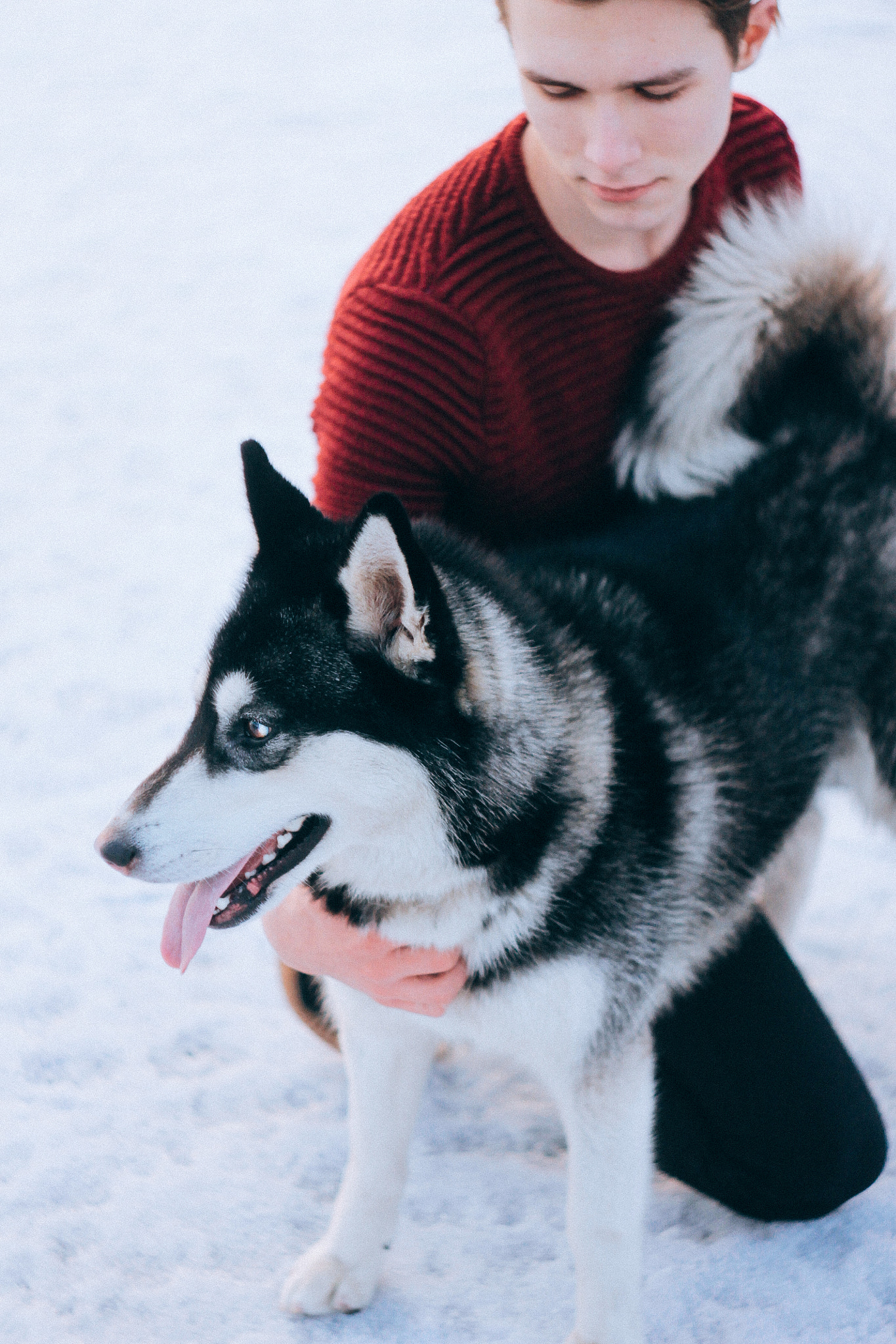 Canon EF 35-80mm f/4-5.6 sample photo. Dog photography