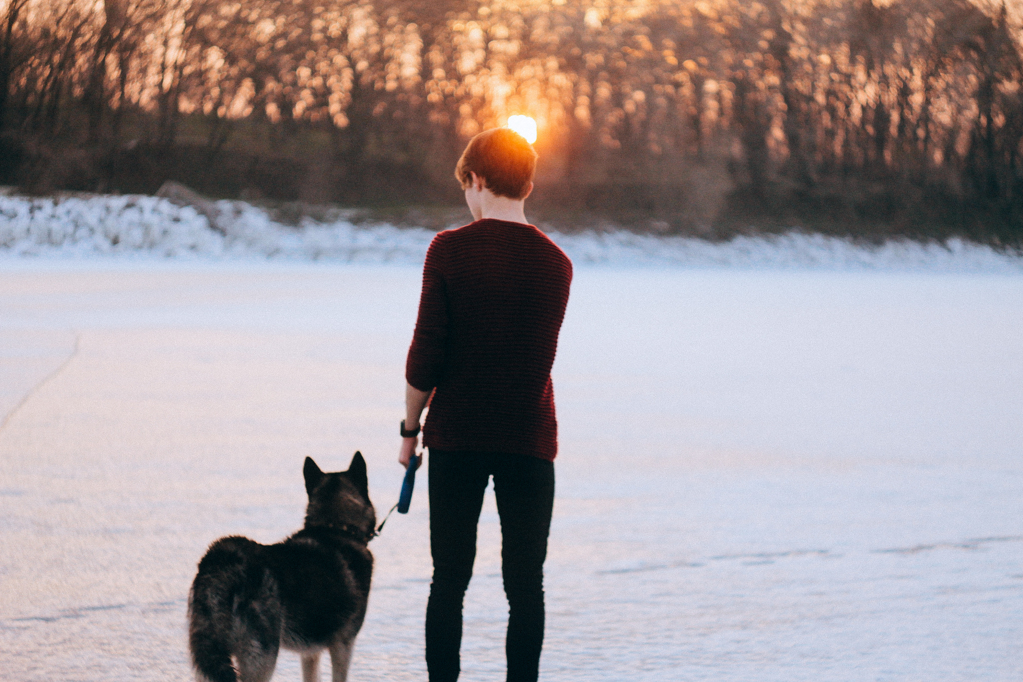 Canon EF 35-80mm f/4-5.6 sample photo. Dog photography