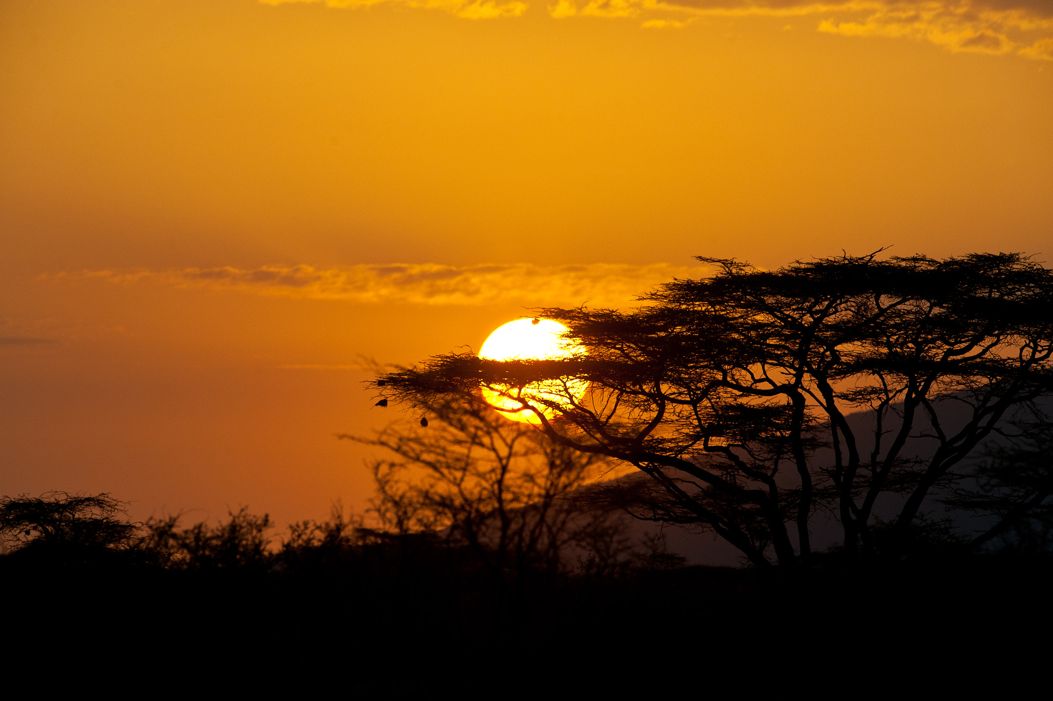 AF-S Nikkor 300mm f/2.8D IF-ED II sample photo. African sunset photography