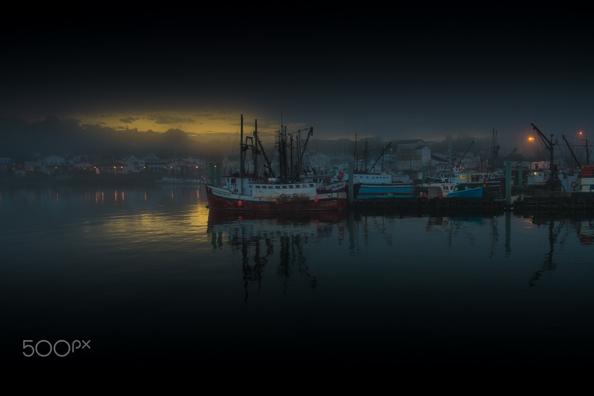 Fujifilm X-M1 + Fujifilm XF 18-55mm F2.8-4 R LM OIS sample photo. Digby canada photography