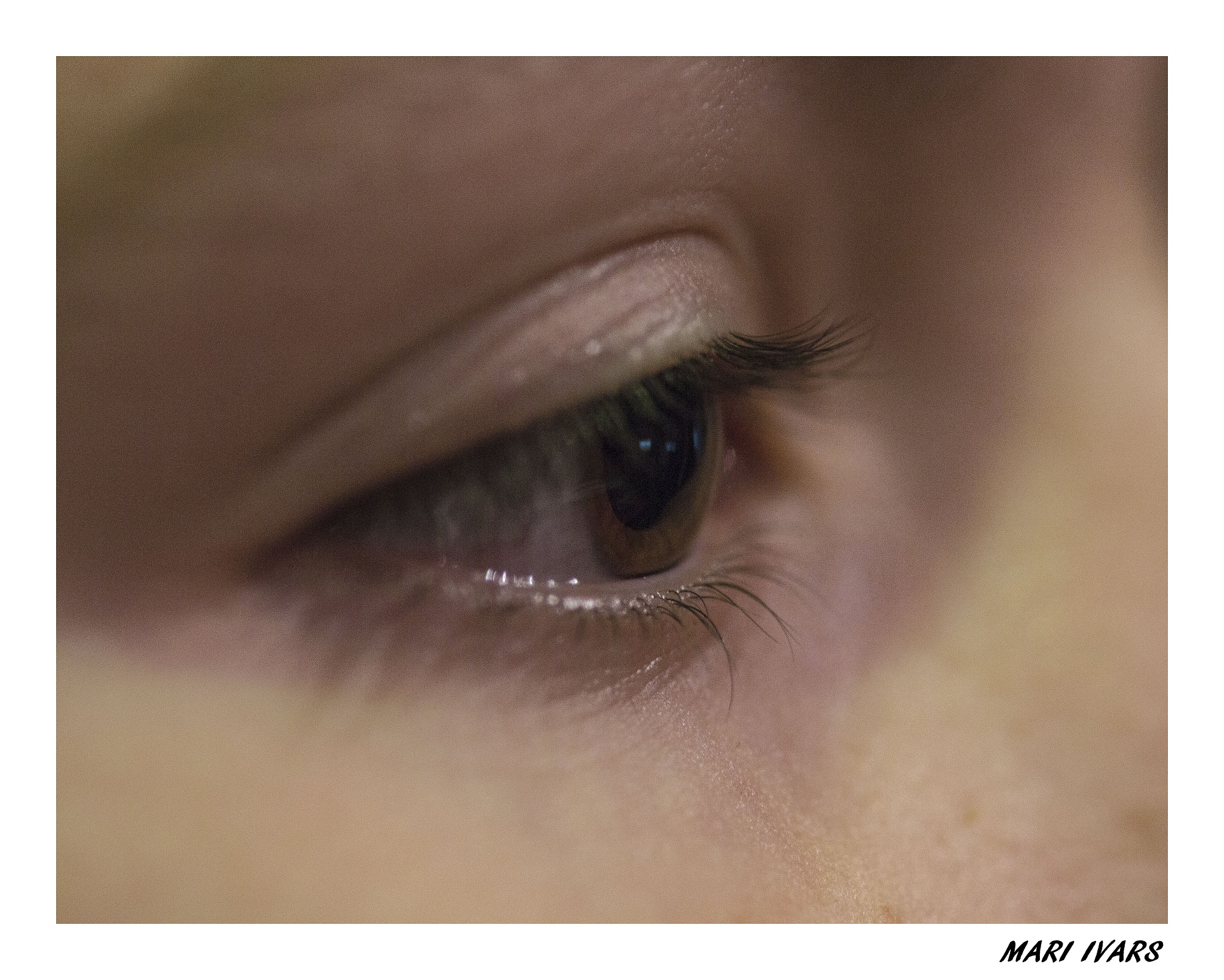 Sigma 105mm F2.8 EX DG Macro sample photo. Ull photography
