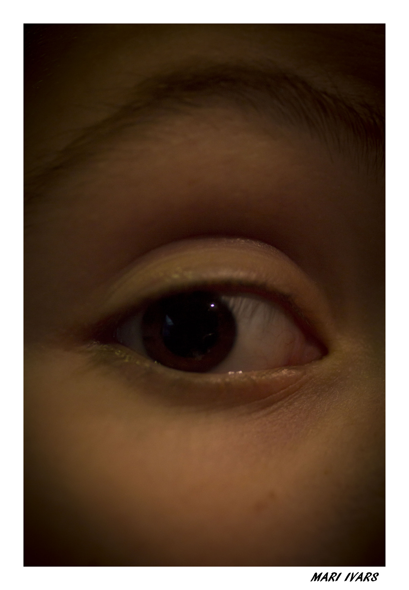Sigma 105mm F2.8 EX DG Macro sample photo. Ull photography