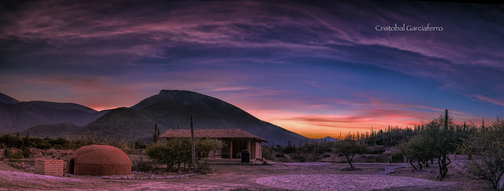 Pentax 645Z sample photo. Sunset in the cactus land photography