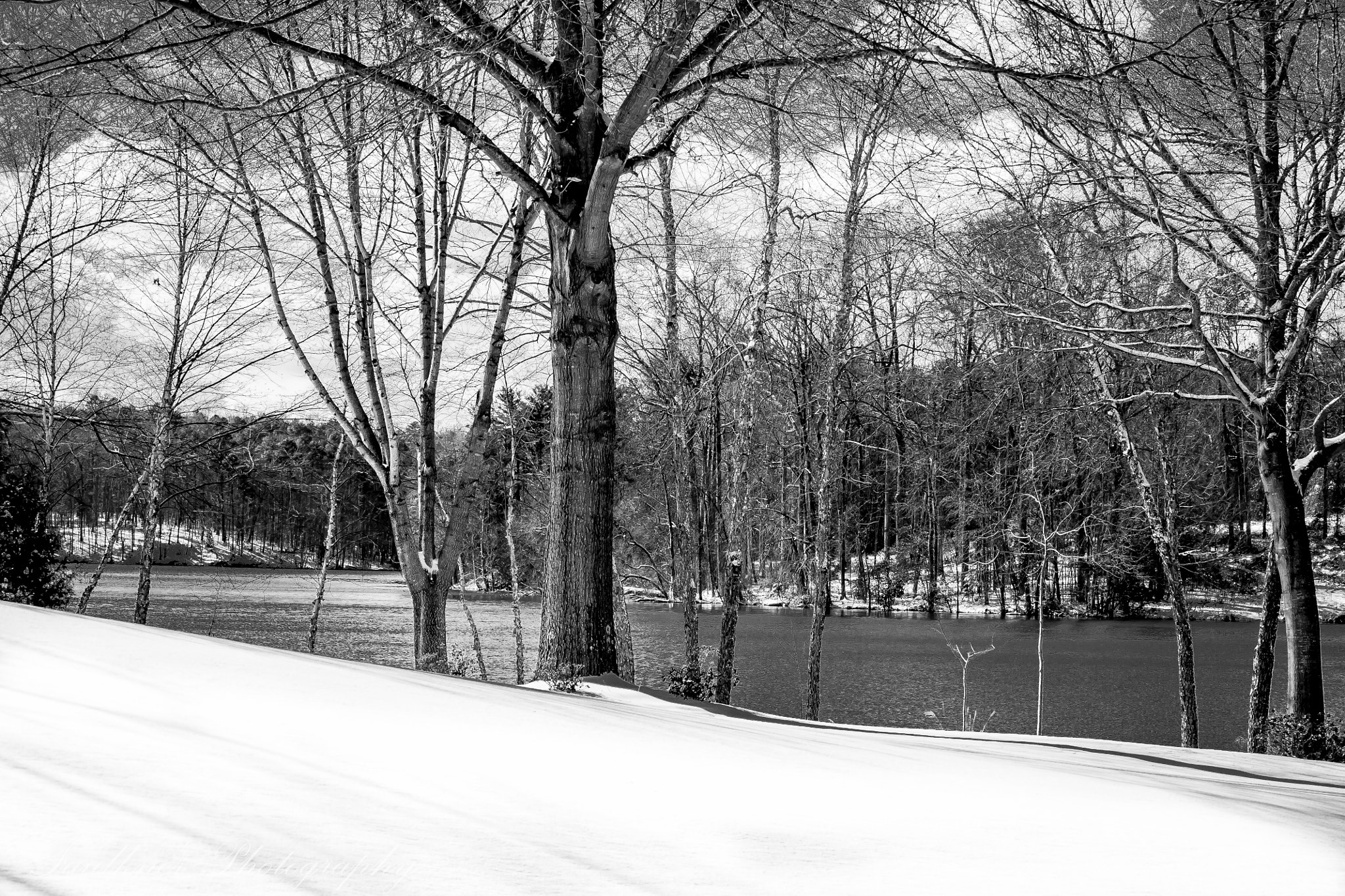 Canon EOS 450D (EOS Rebel XSi / EOS Kiss X2) sample photo. Lake snow bw photography
