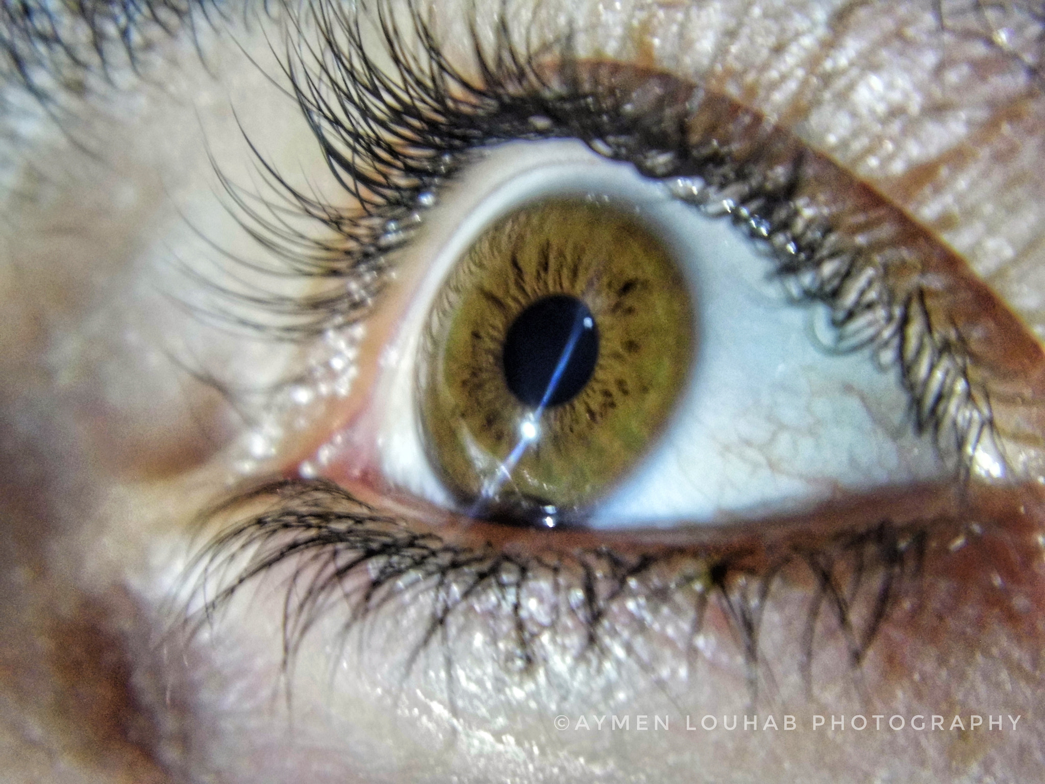 Panasonic Lumix DMC-LZ20 sample photo. Human eye photography