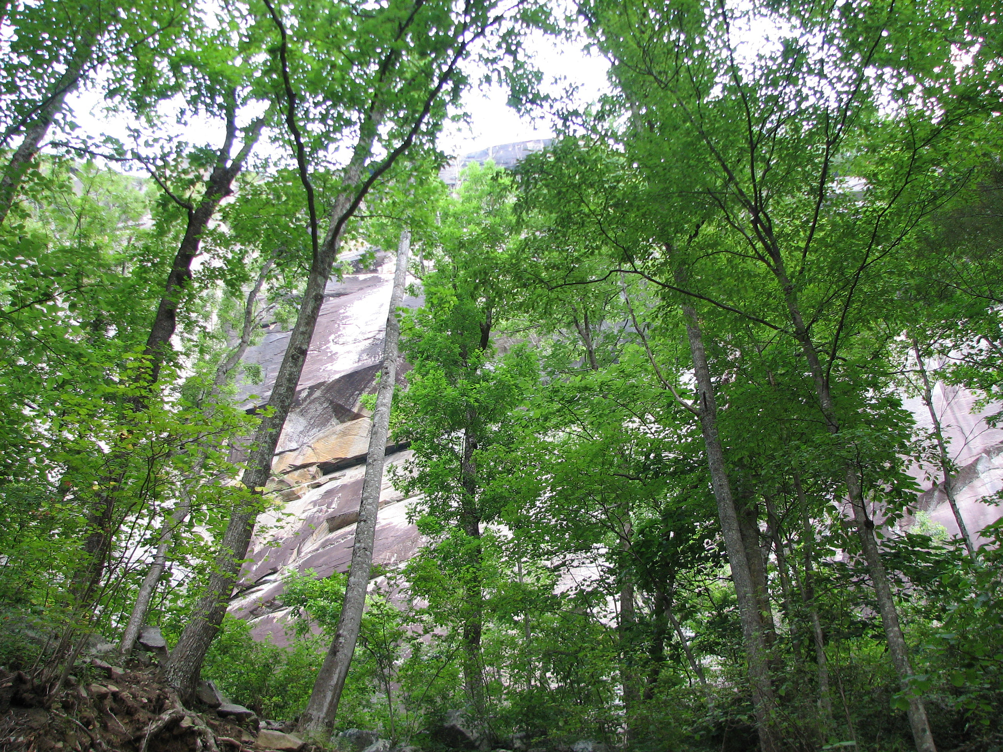 Canon POWERSHOT S2 IS sample photo. 922285262.jpg photography