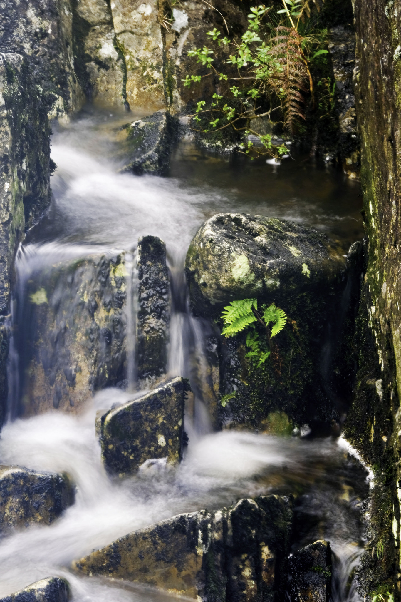 Fujifilm X-Pro2 + Fujifilm XF 50-140mm F2.8 R LM OIS WR sample photo. Waterfall 4 photography