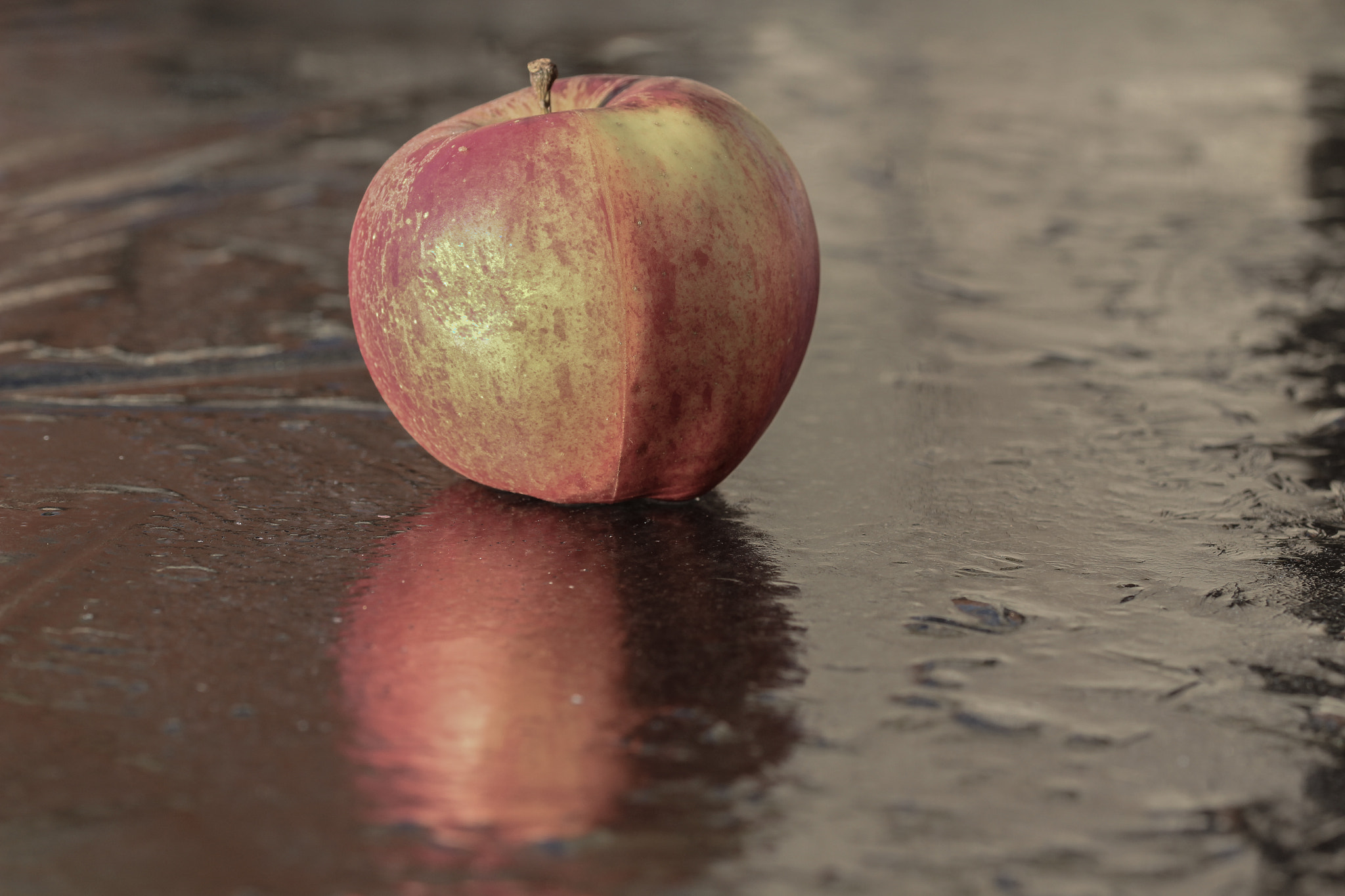 Sigma 105mm F2.8 EX DG OS HSM sample photo. Apple on ice / pomme sur la glace 2 photography