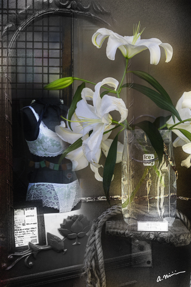 Canon EOS M3 sample photo. Lily + lingerie photography
