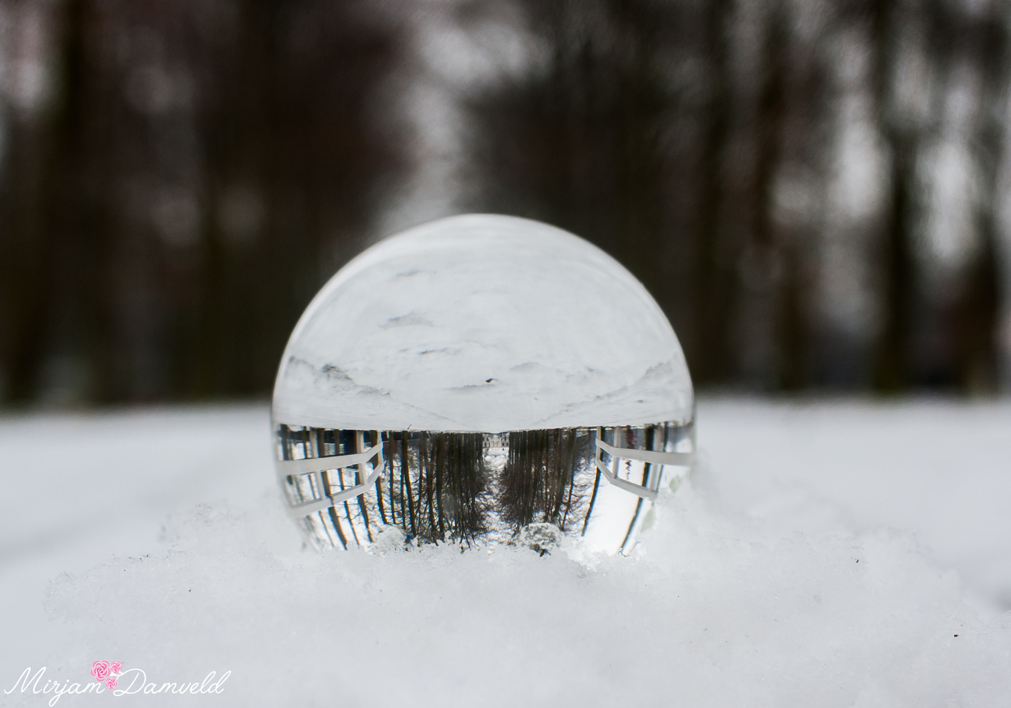 Canon EOS 40D sample photo. The world up site down photography