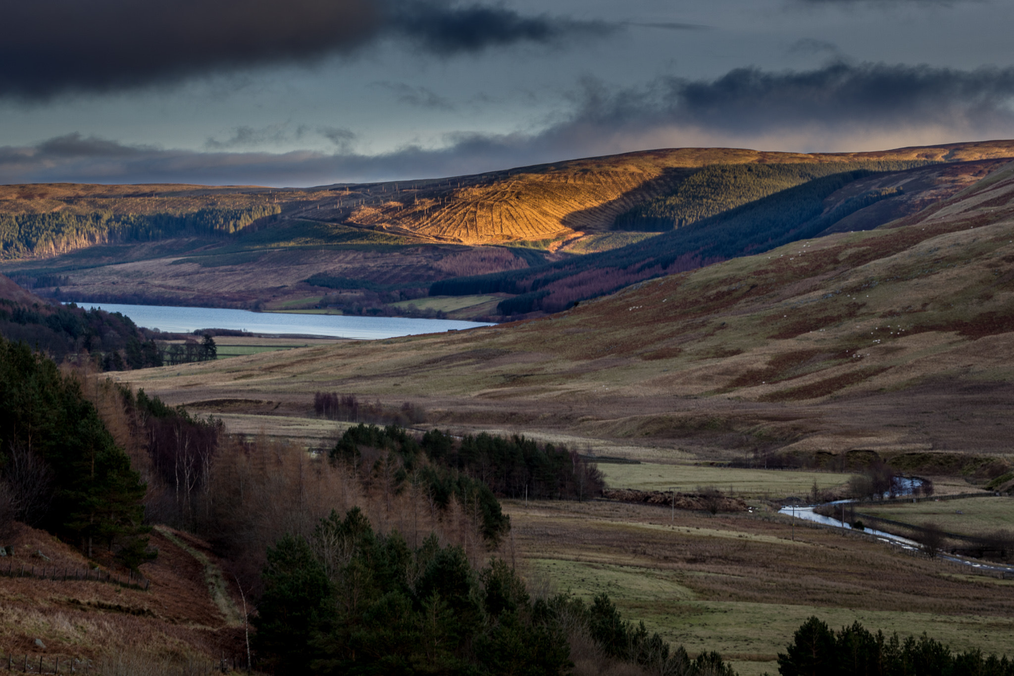 Canon EOS 550D (EOS Rebel T2i / EOS Kiss X4) + Canon EF 70-200mm F4L USM sample photo. Megget reservoir looking towards st mary's loch, scottish borders photography