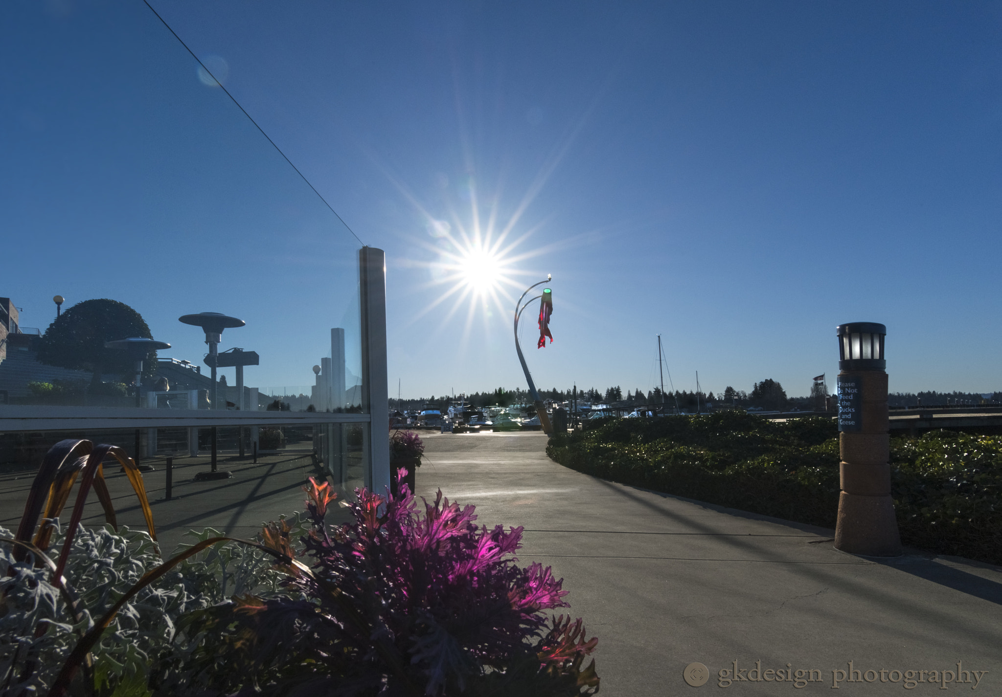 Nikon D610 + Tokina AT-X 17-35mm F4 Pro FX sample photo. Carillon point dock photography