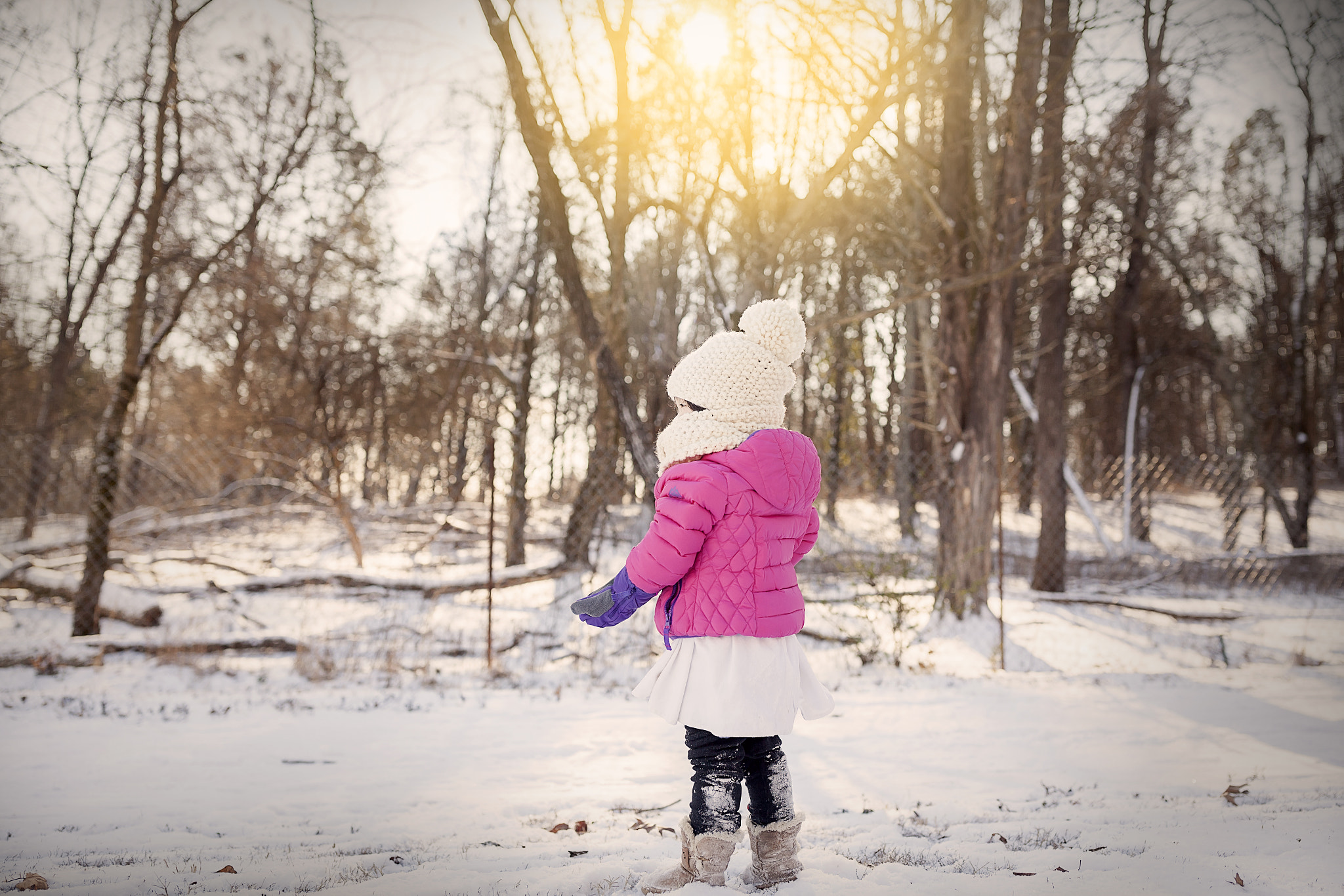 Canon EF 35mm F1.4L II USM sample photo. Winter sun photography