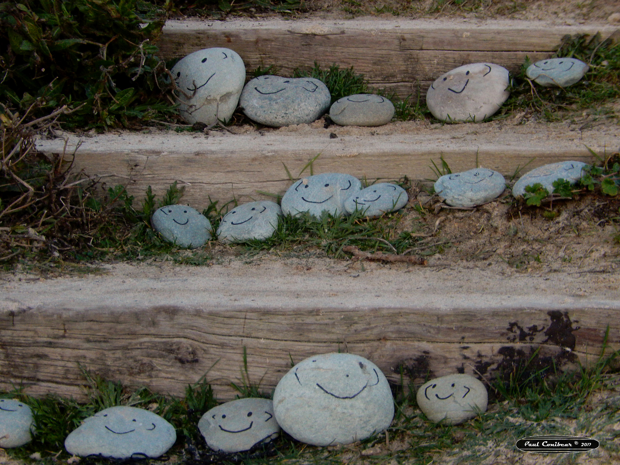 Nikon COOLPIX S9600 sample photo. Smiley stones photography