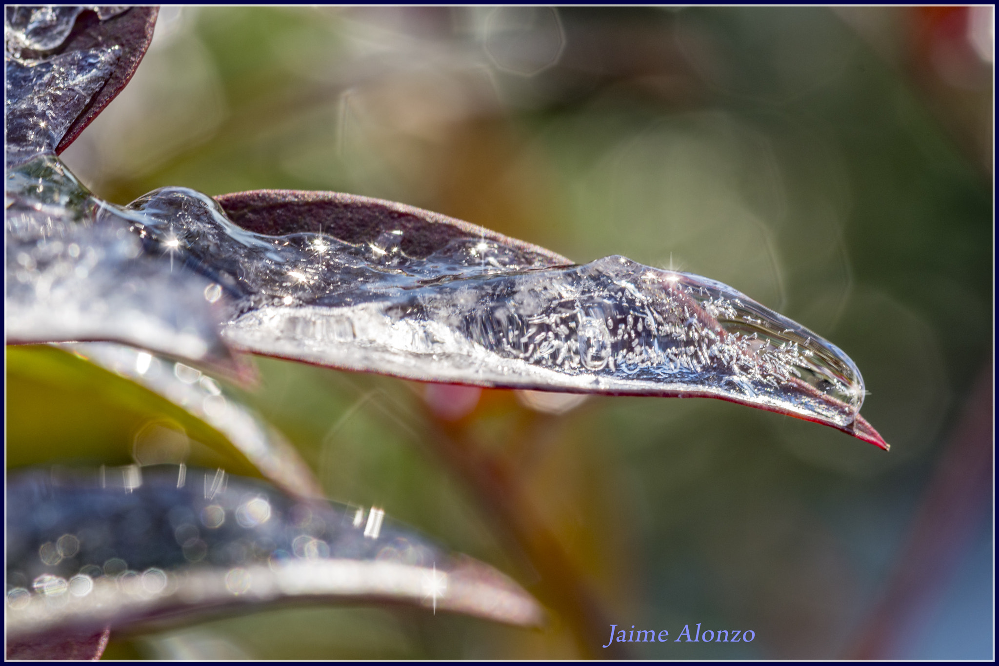 Sigma 105mm F2.8 EX DG OS HSM sample photo. Frozen world photography
