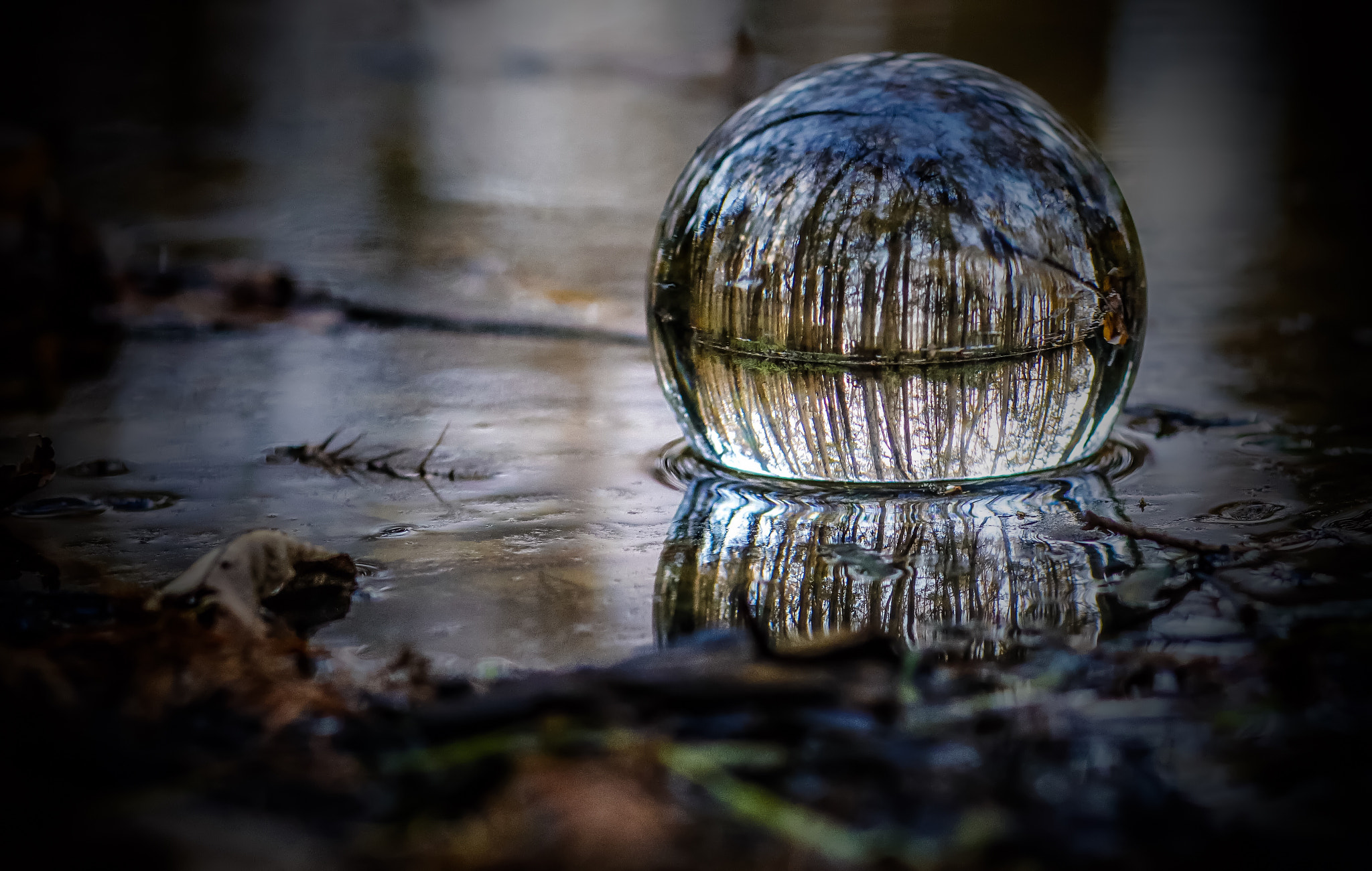 Canon EOS 80D + Canon EF 85mm F1.8 USM sample photo. Crystal ball swamp sunset photography