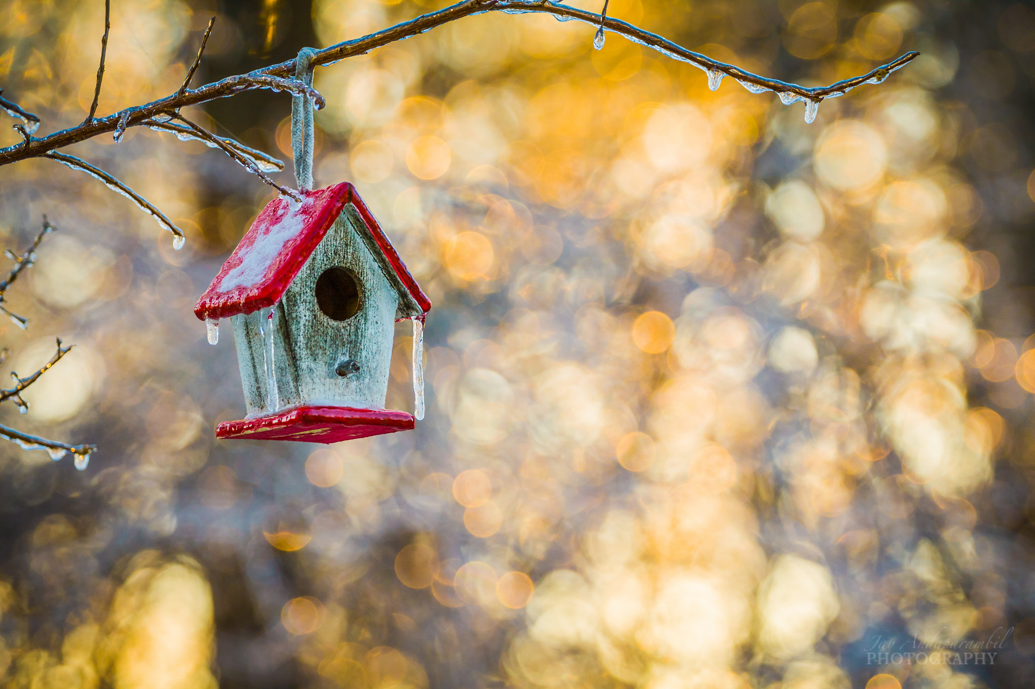 Canon EOS 50D + Canon EF 70-200mm F4L USM sample photo. Bird house in snow photography