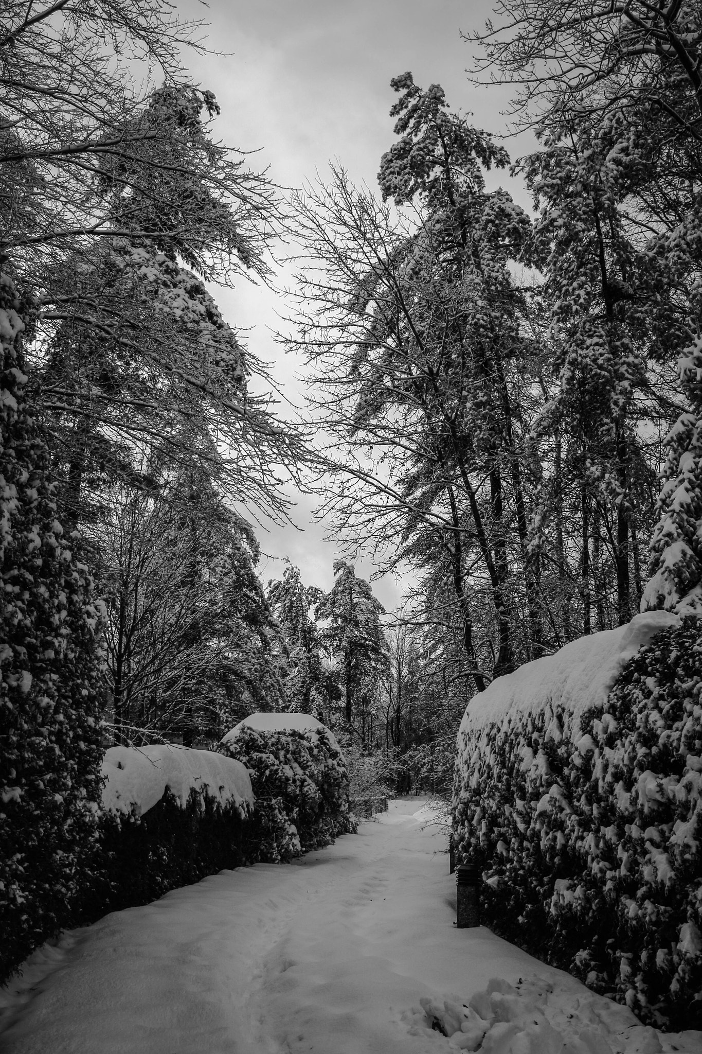 Canon EF 24-70mm F4L IS USM sample photo. Snow trail photography