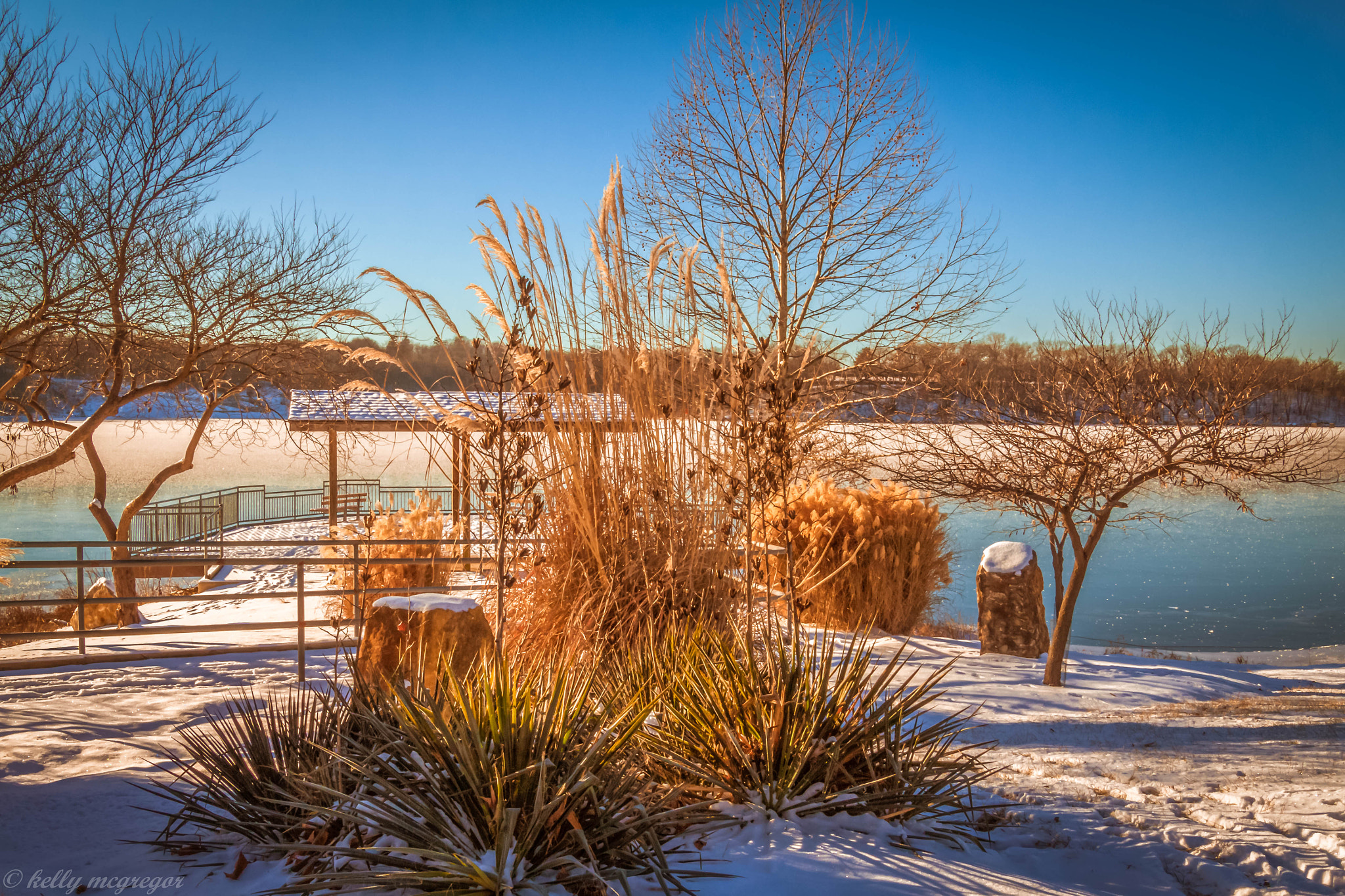 Canon EOS 50D sample photo. Cold morning  photography