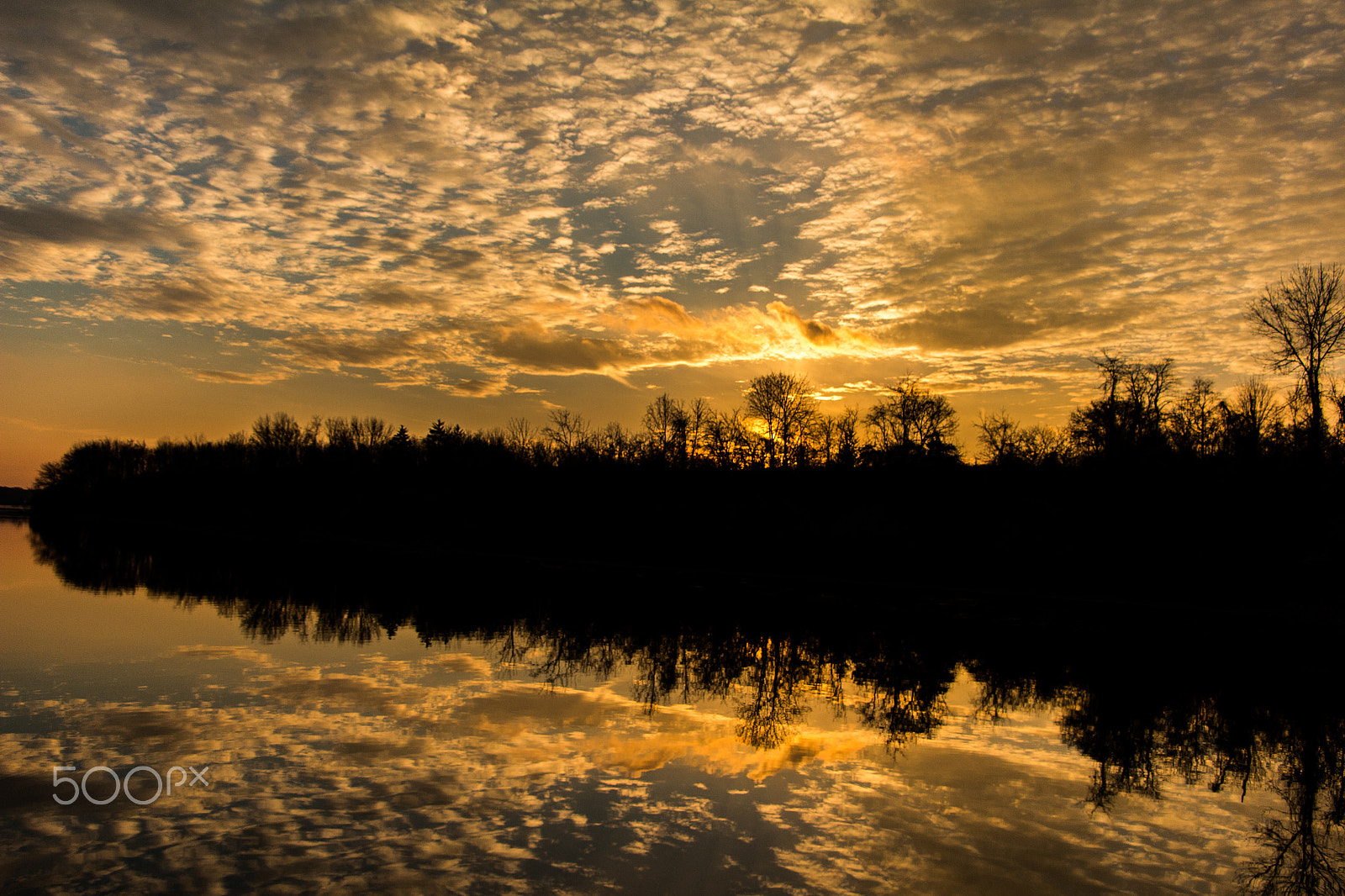 Canon EOS 100D (EOS Rebel SL1 / EOS Kiss X7) sample photo. Beautiful reflection #3 photography