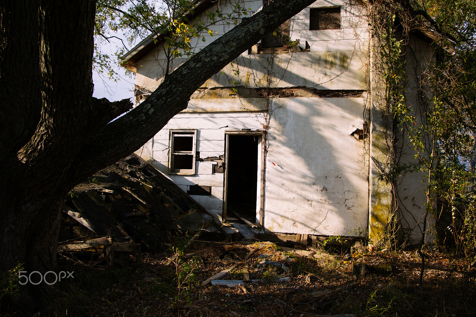 Canon EOS 100D (EOS Rebel SL1 / EOS Kiss X7) sample photo. Abandoned forever photography