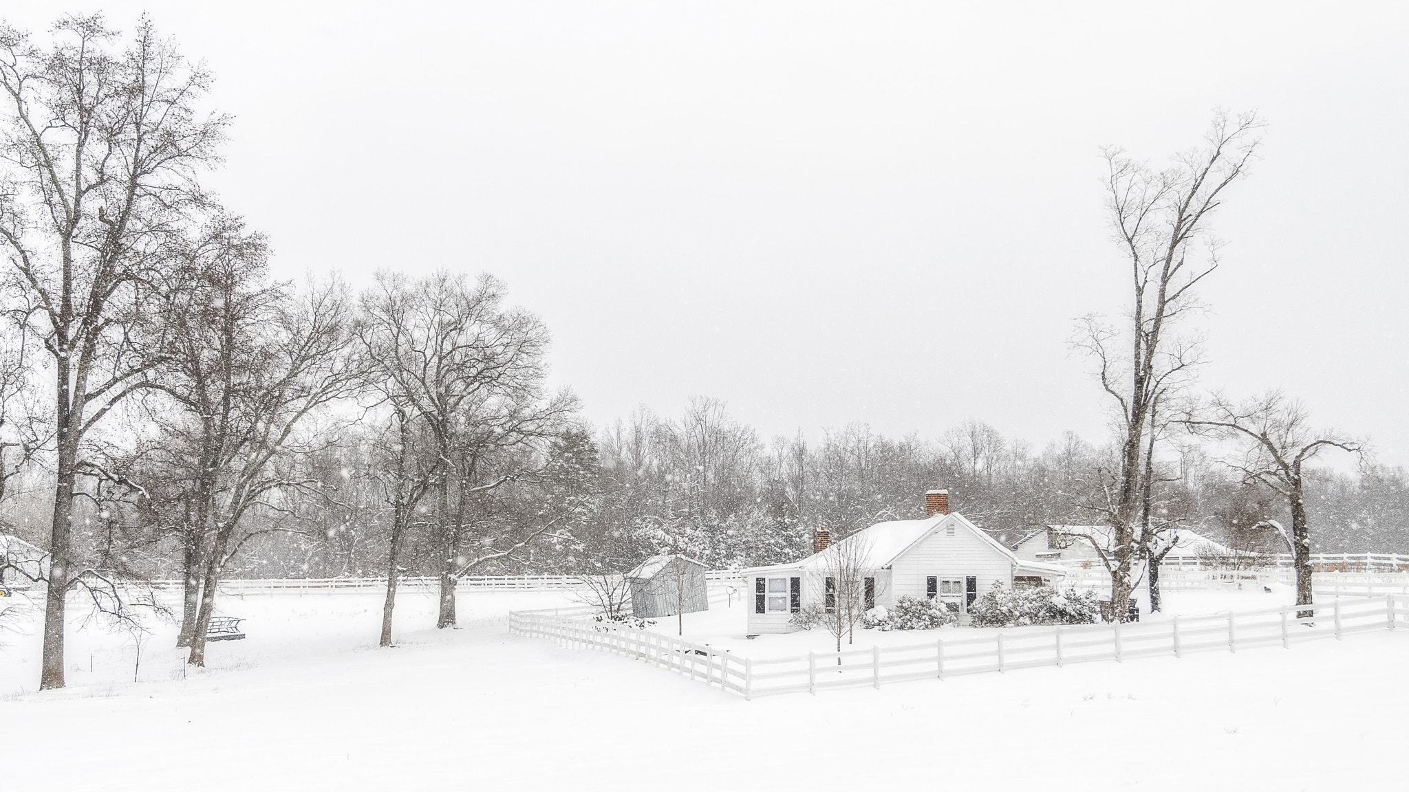 Canon EOS-1D Mark III sample photo. White winter photography