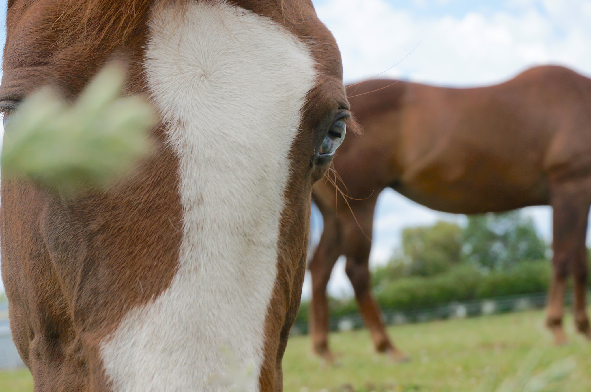 Sony E 18-50mm F4-5.6 sample photo. Got his eye on me photography