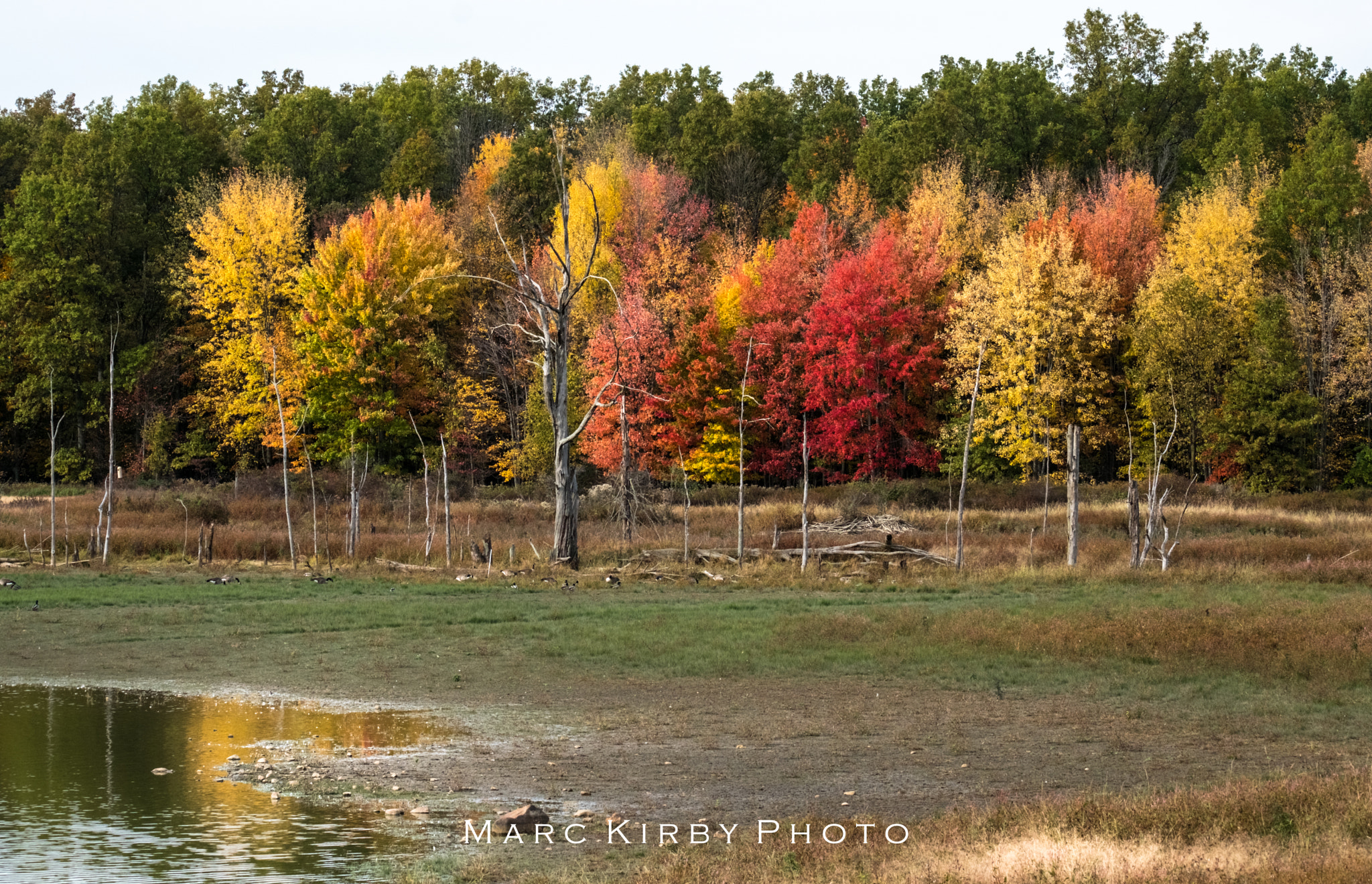 Fujifilm XF 100-400mm F4.5-5.6 R LM OIS WR sample photo. Sandy ridge colors photography