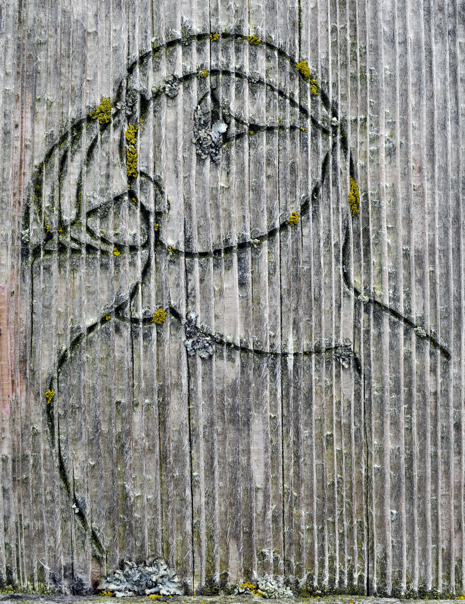 Nikon D90 + Nikon AF Nikkor 35mm F2D sample photo. Puffin graffiti photography