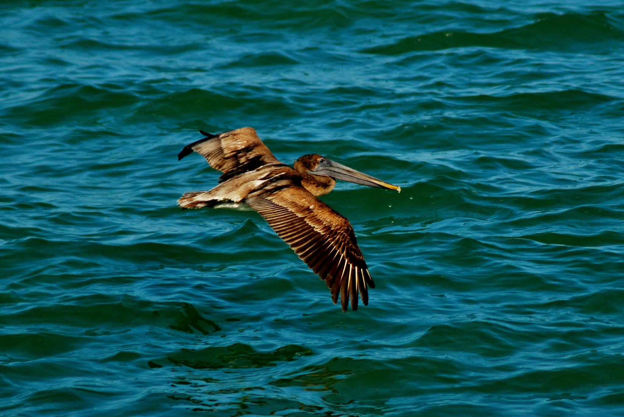 Nikon D80 + AF Zoom-Nikkor 75-300mm f/4.5-5.6 sample photo. In flight photography