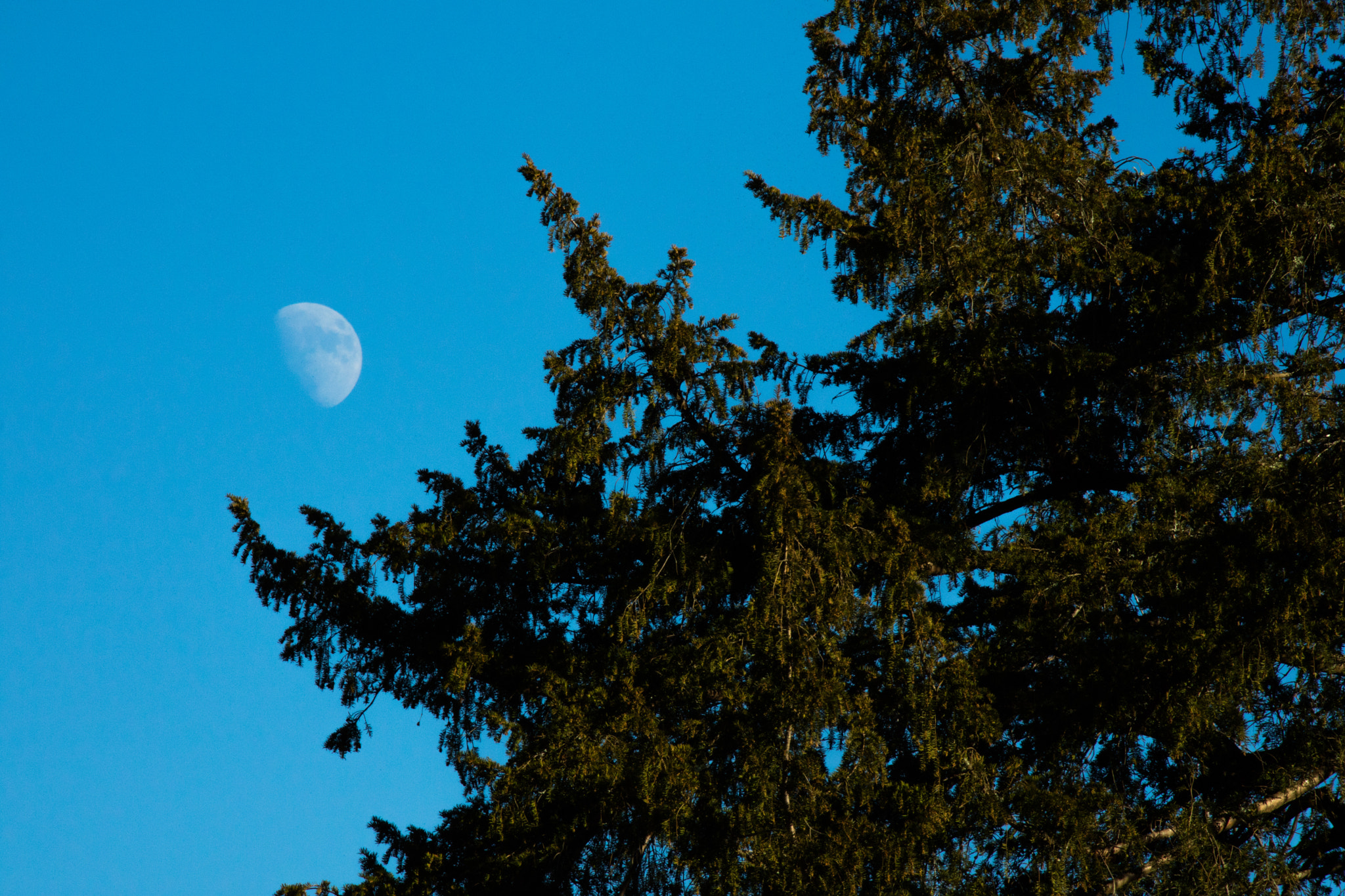 Canon EOS M3 sample photo. Rusecu photography