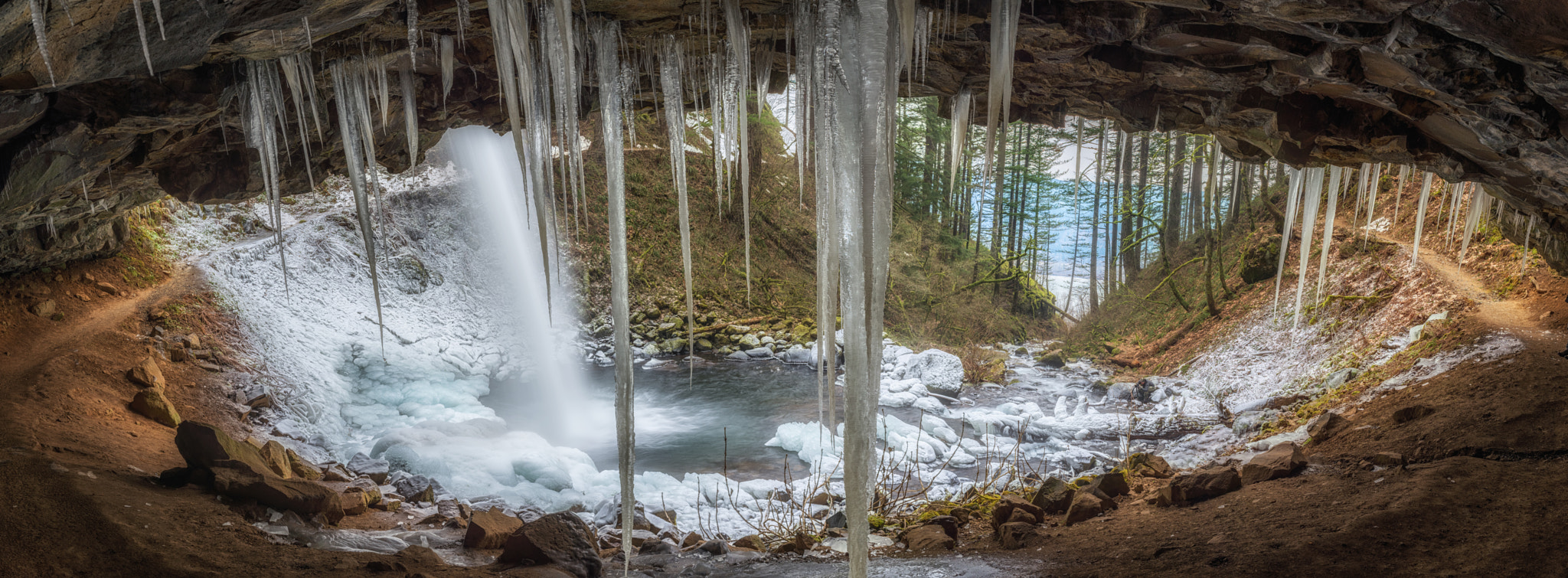 Nikon D600 + Nikon AF Nikkor 35mm F2D sample photo. Deadly beauty photography