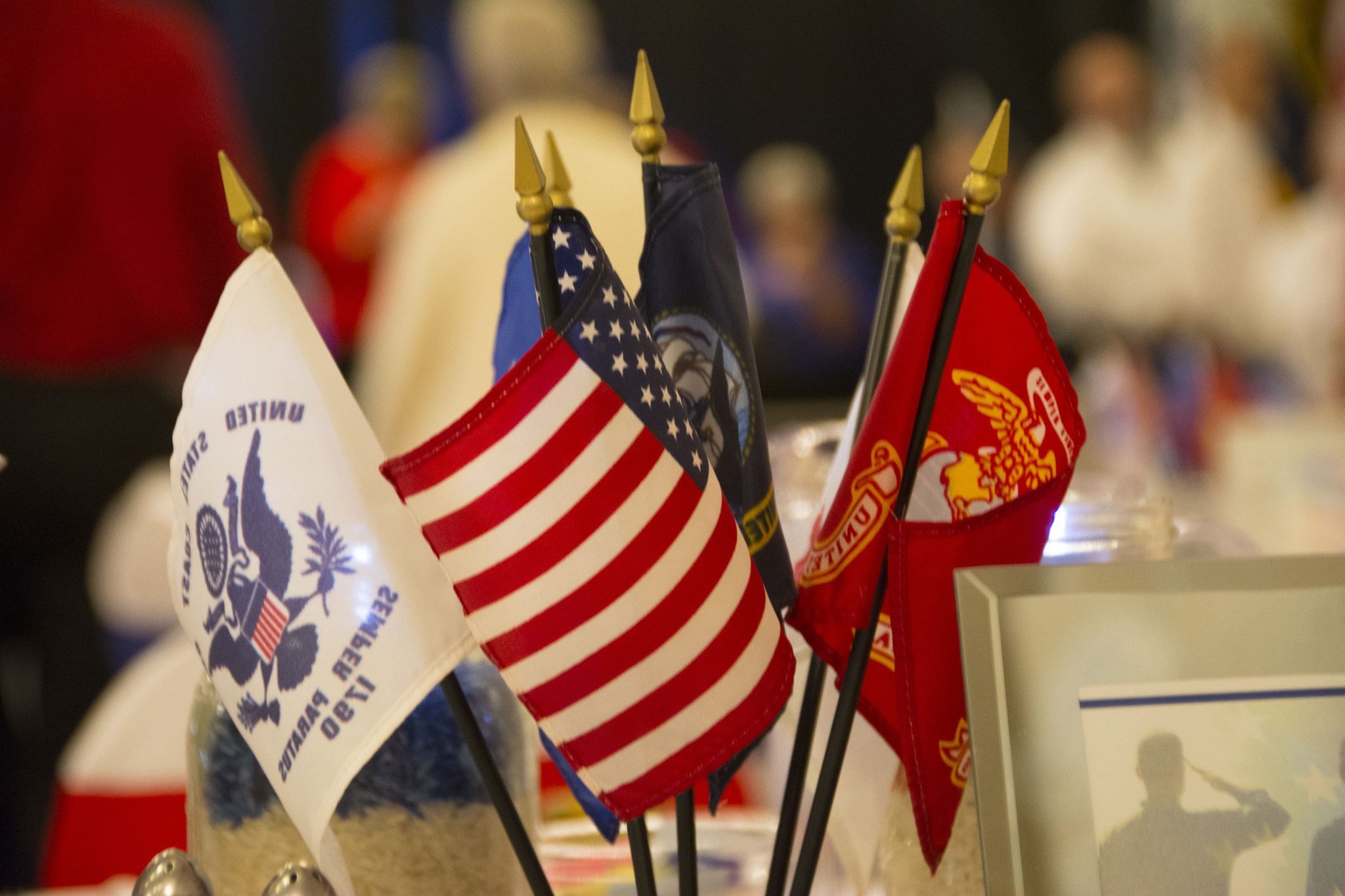 Nikon D7100 + Nikon PC-E Nikkor 24mm F3.5D ED Tilt-Shift sample photo. Veterans day edits101.jpg photography