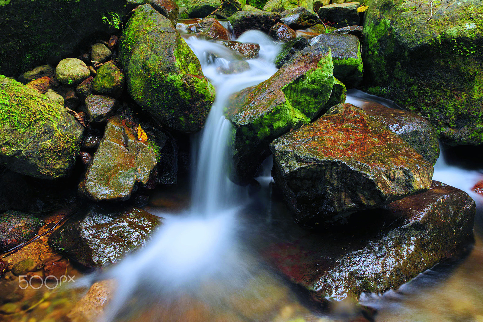 Nikon D700 + Nikon AF-S Nikkor 24mm F1.8G ED sample photo. The fountain of youth photography