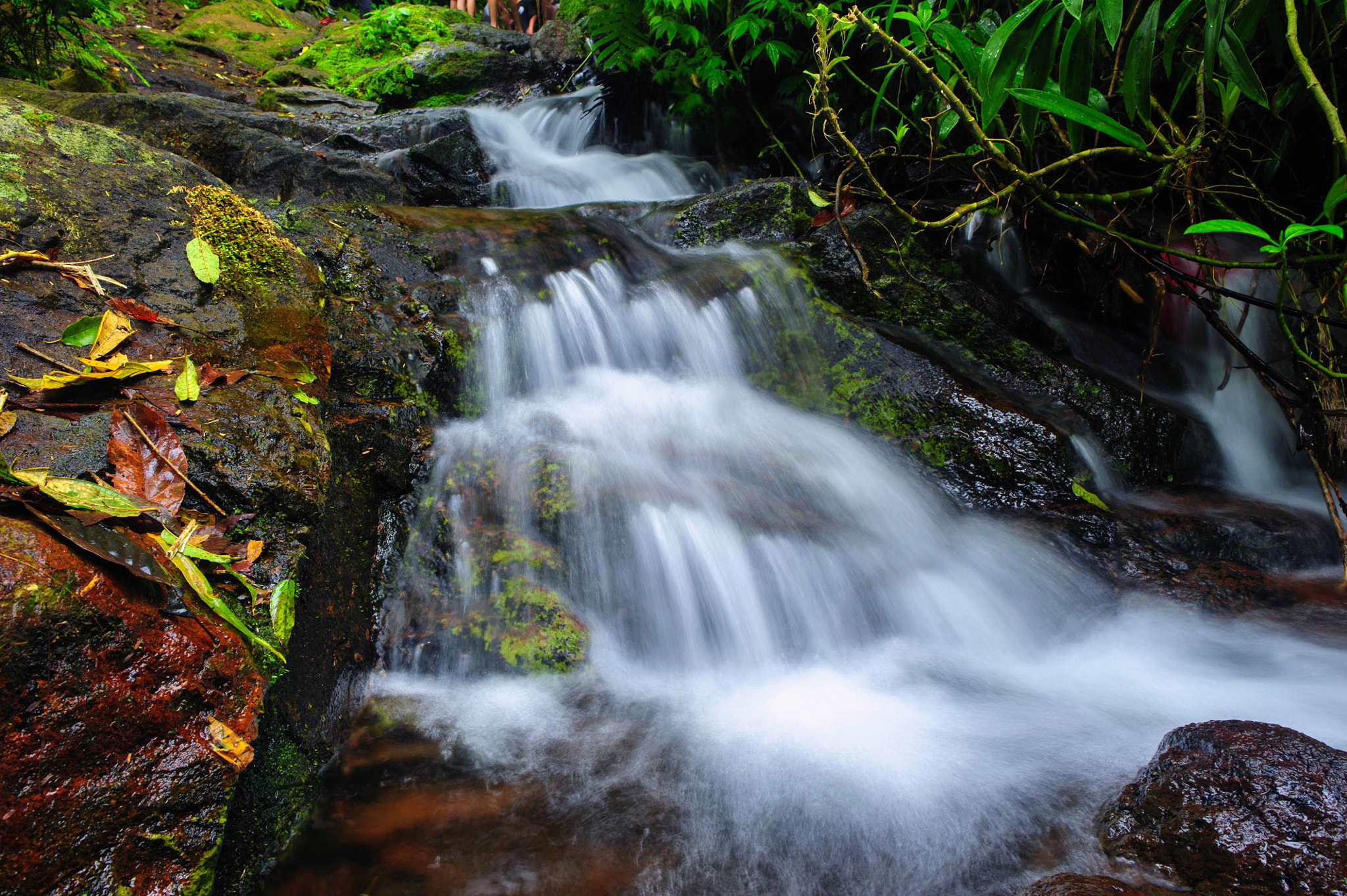 Nikon D700 + Nikon AF-S Nikkor 24mm F1.8G ED sample photo. Waterstairs photography