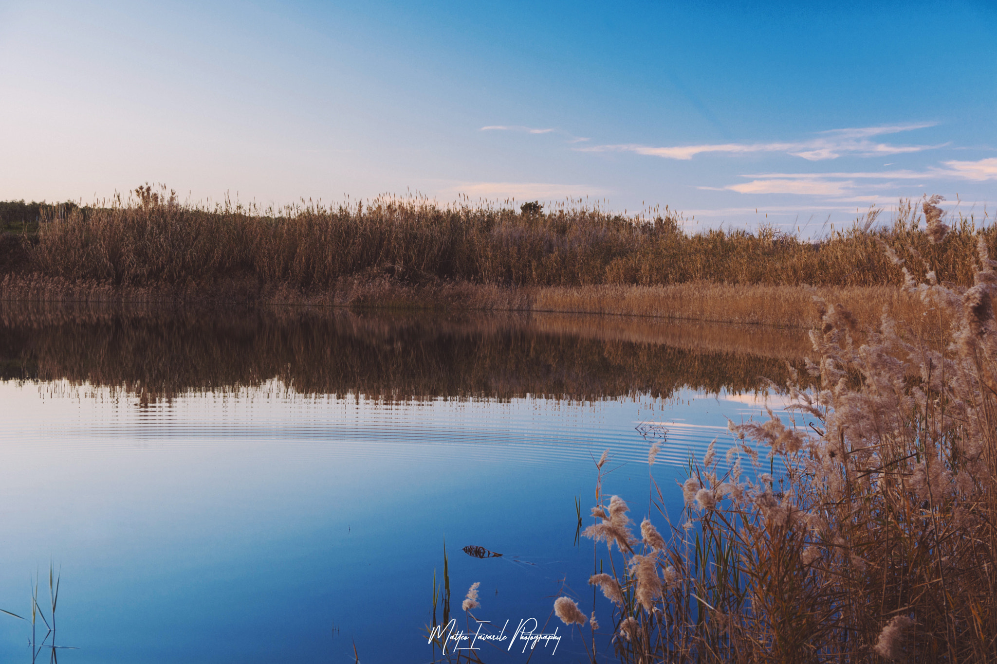 Sigma 17-70mm F2.8-4 DC Macro OS HSM | C sample photo. A little big mirror photography