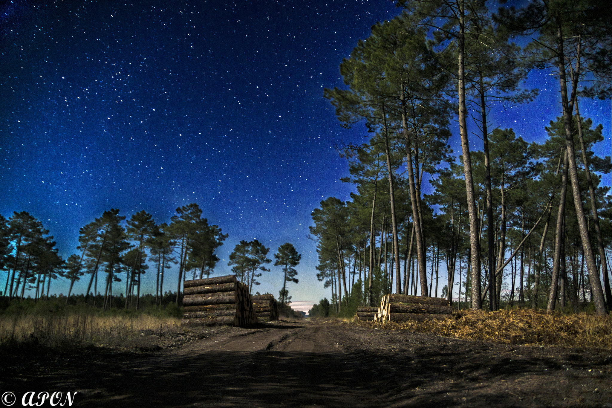 Sony Alpha DSLR-A850 sample photo. Le jour en pleine nuit photography