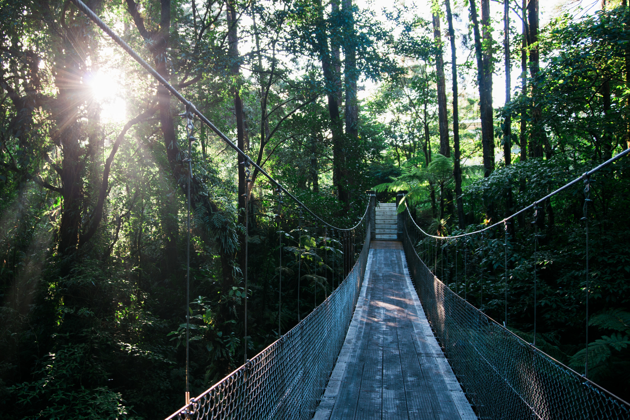 AF Zoom-Nikkor 28-80mm f/3.3-5.6G sample photo. Hanging bridge photography