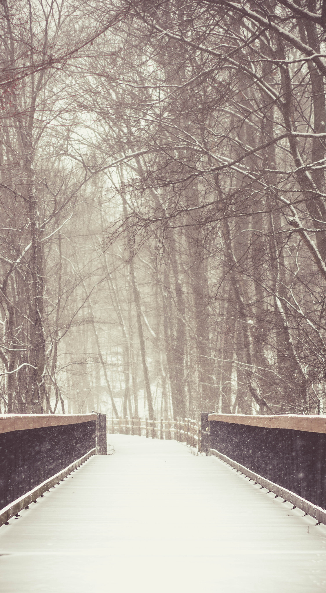 Pentax K-5 sample photo. Winter day. photography