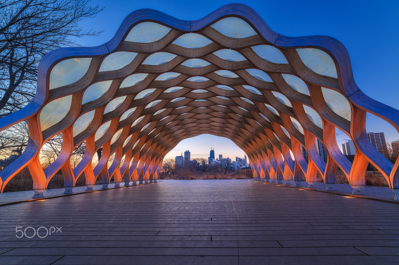 Samyang 14mm F2.8 ED AS IF UMC sample photo. Chicago honeycomb photography